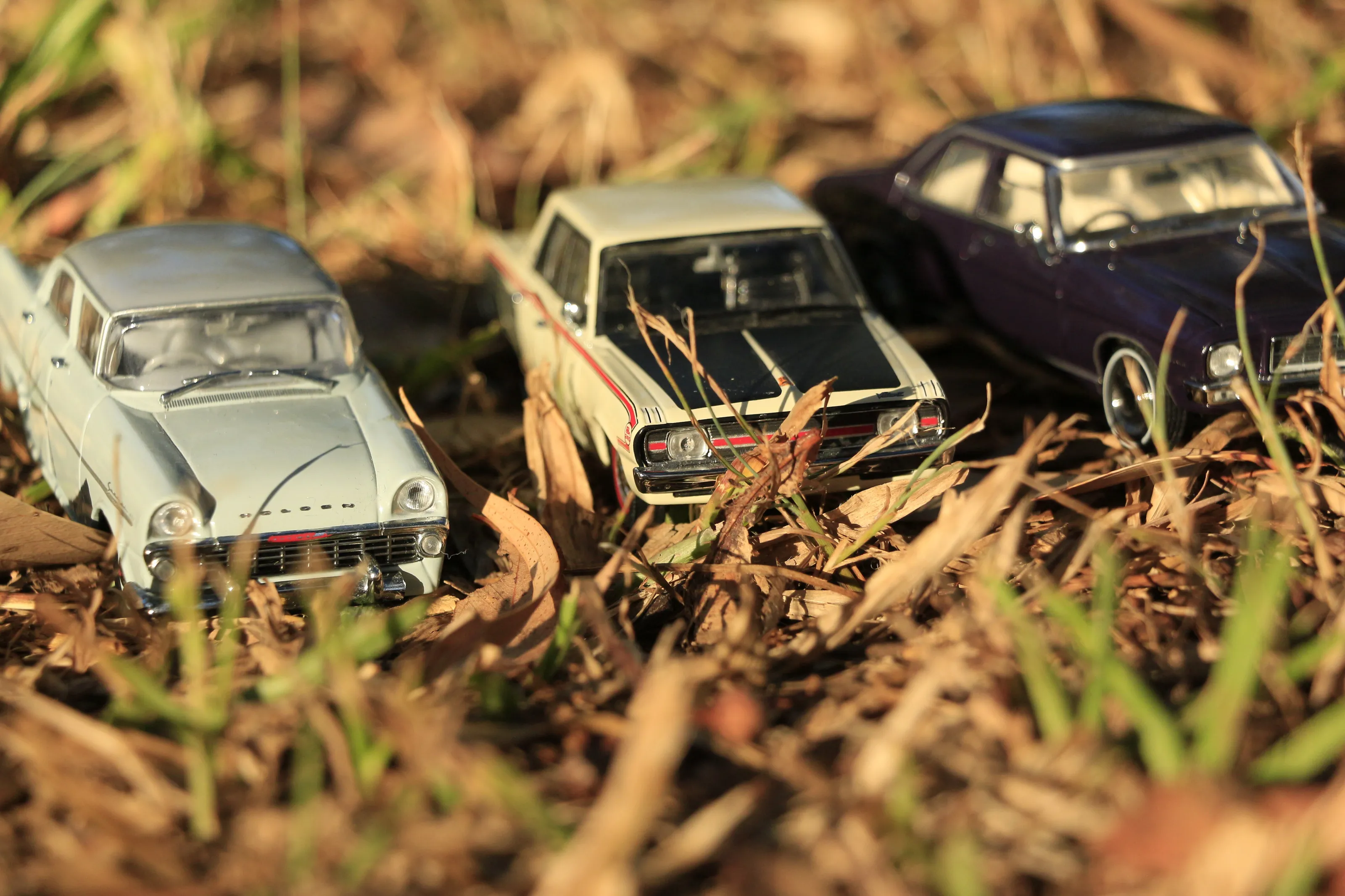 Collection 67
