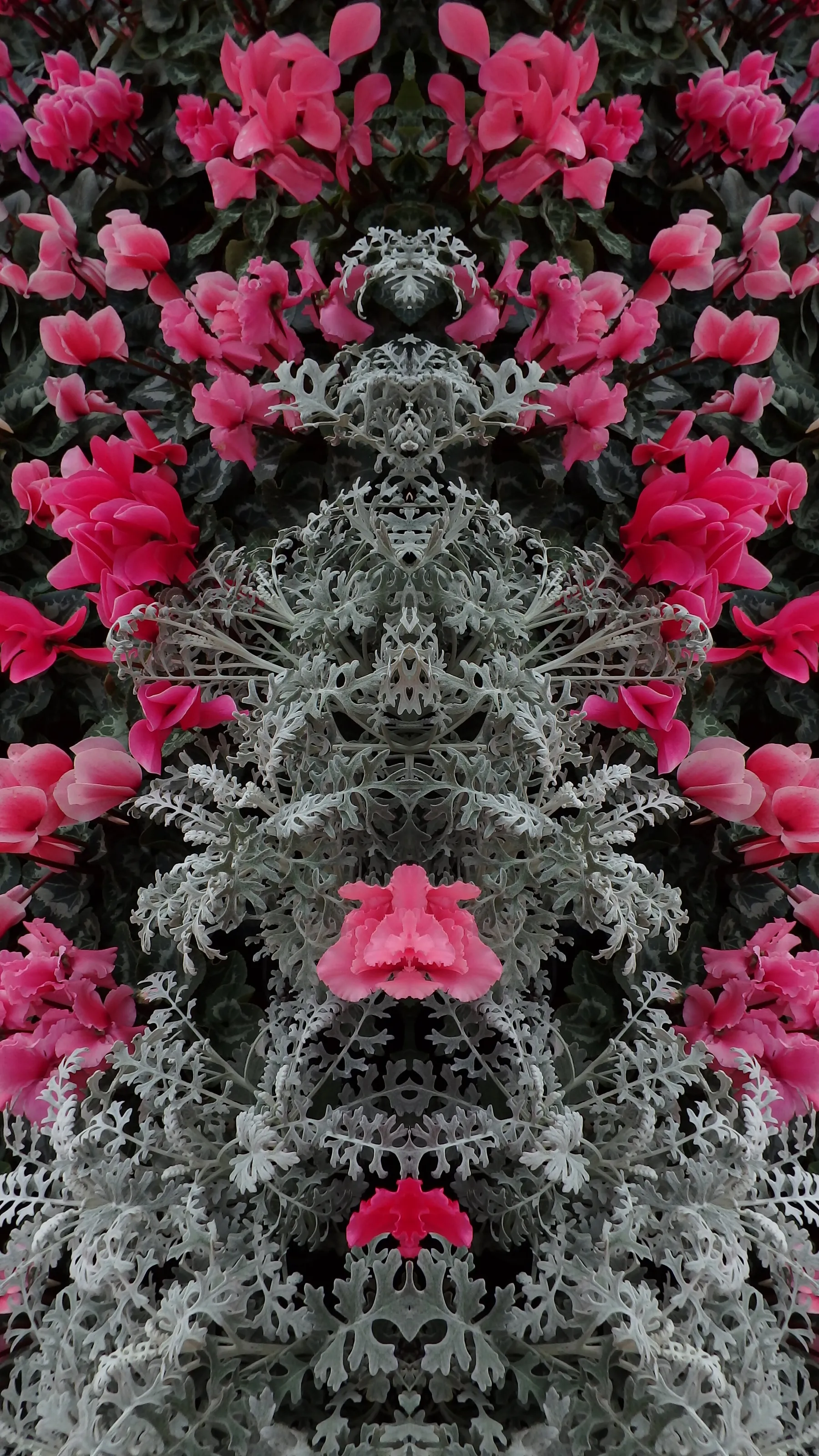 Faces ©