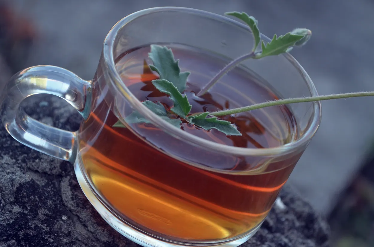 Entry 14725