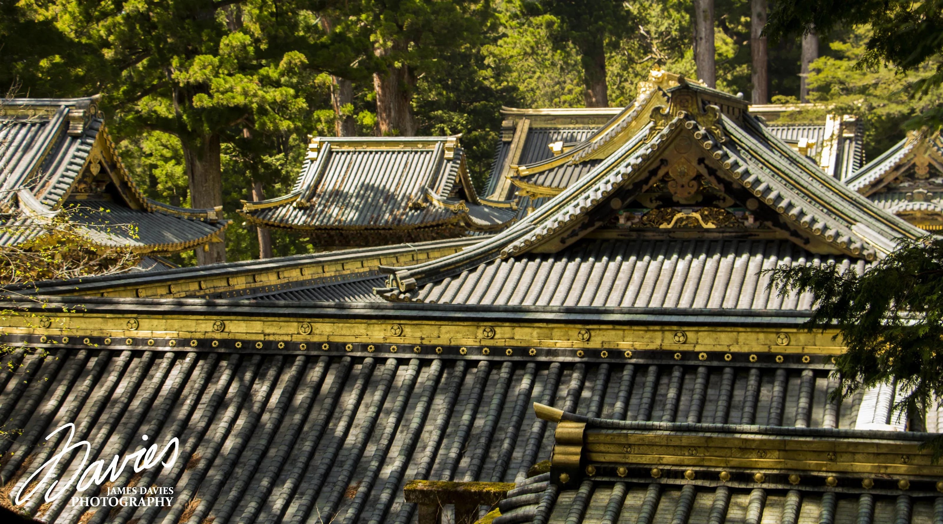 Shrines in Nikko, Japan