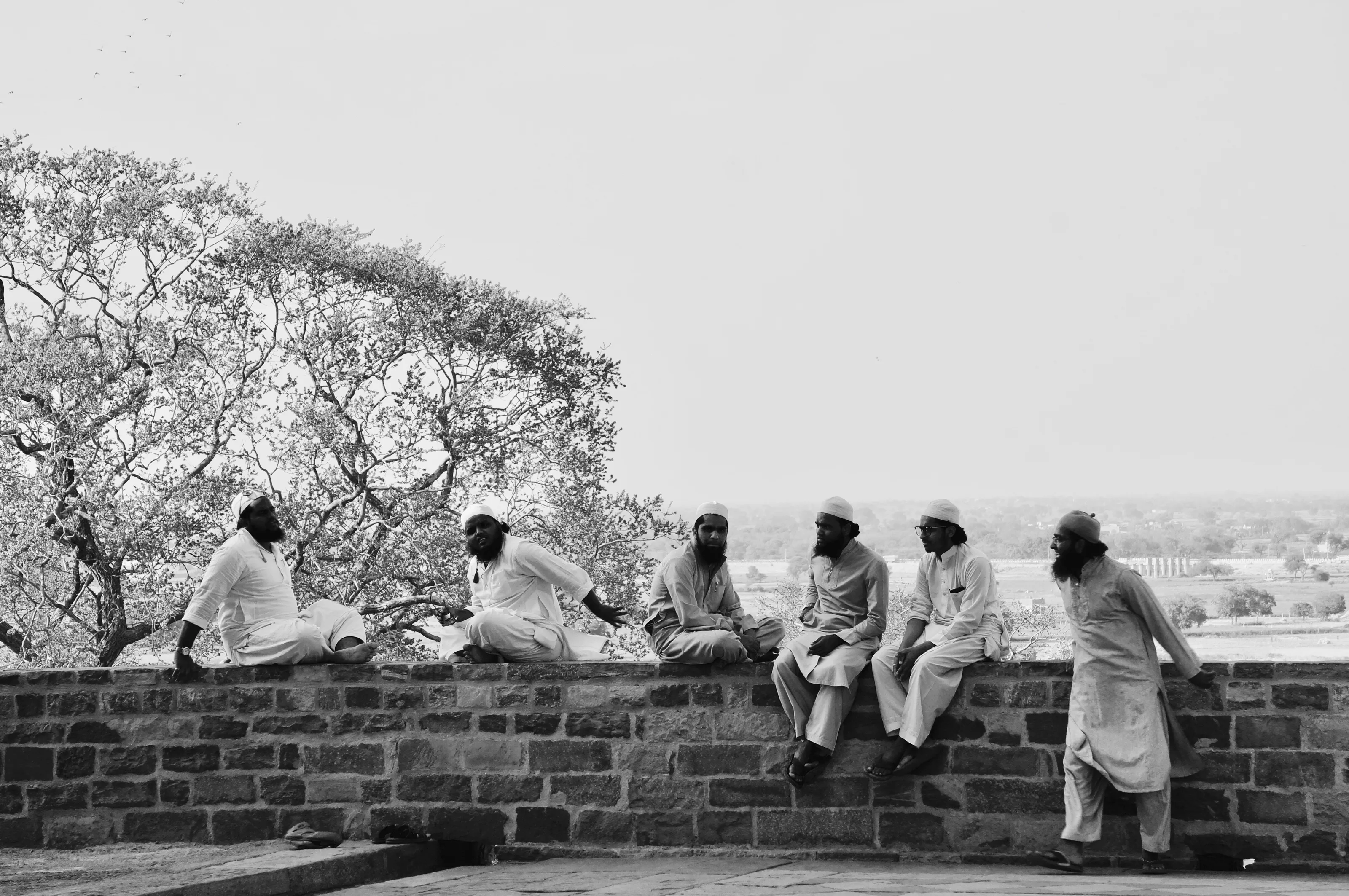 Friends at peace