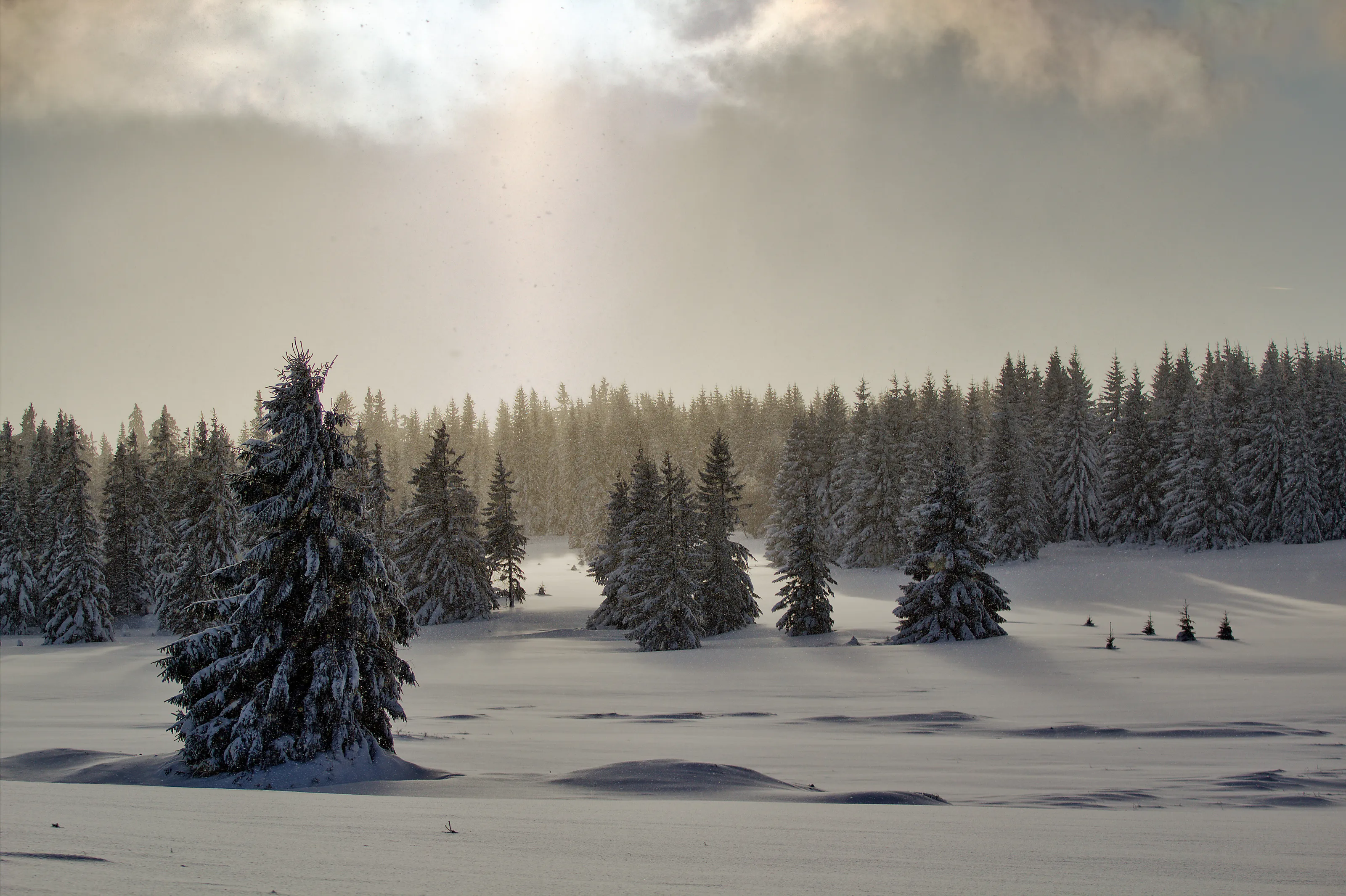 Czech Ore Mountains