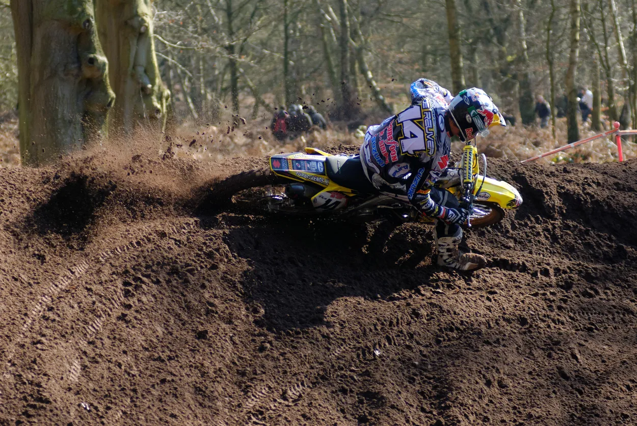 Entry 26408339