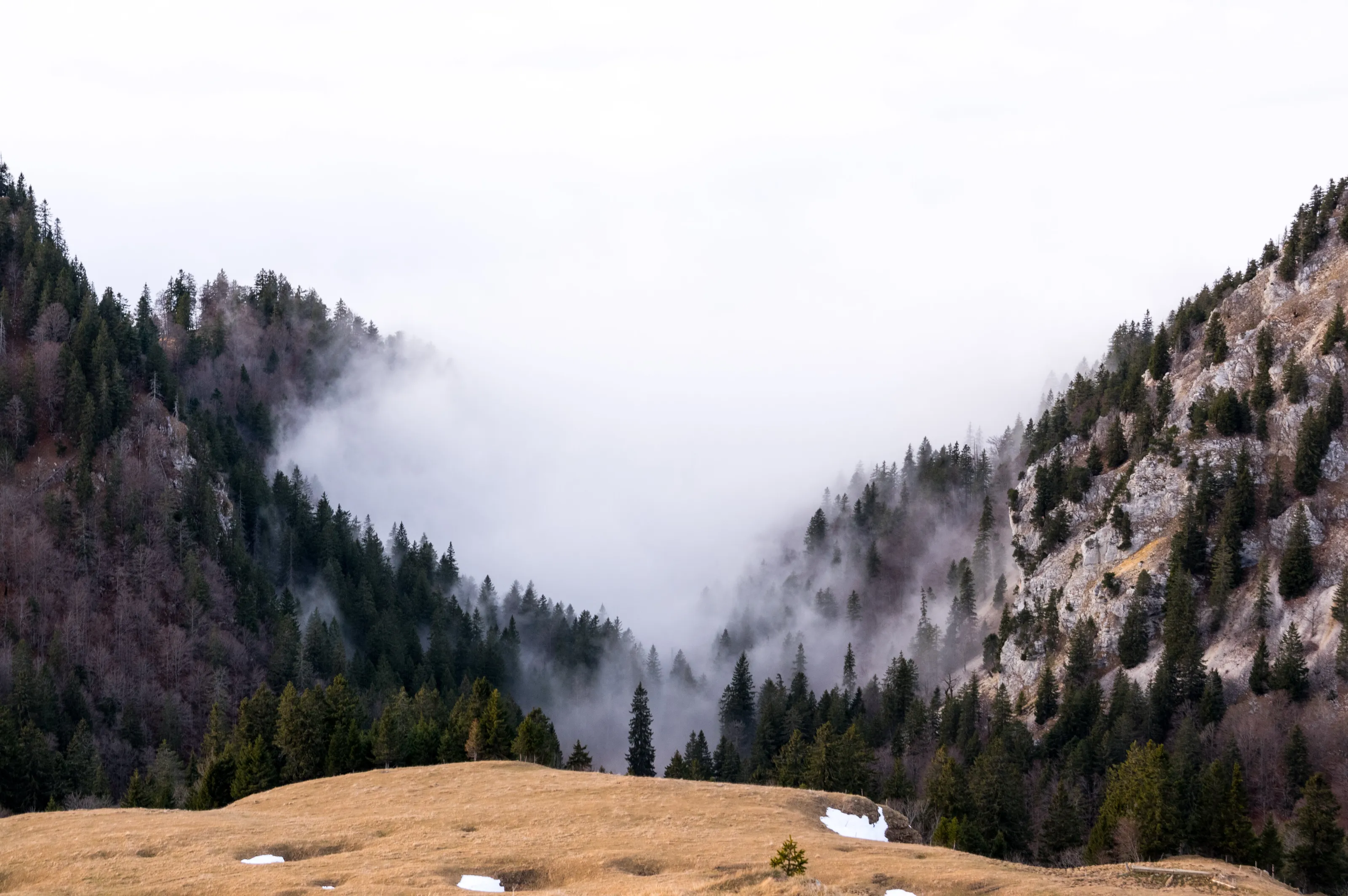 Fog on the flanks