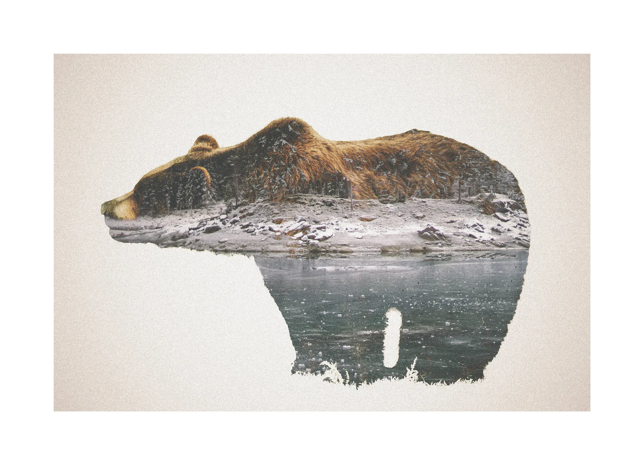 Bearscape