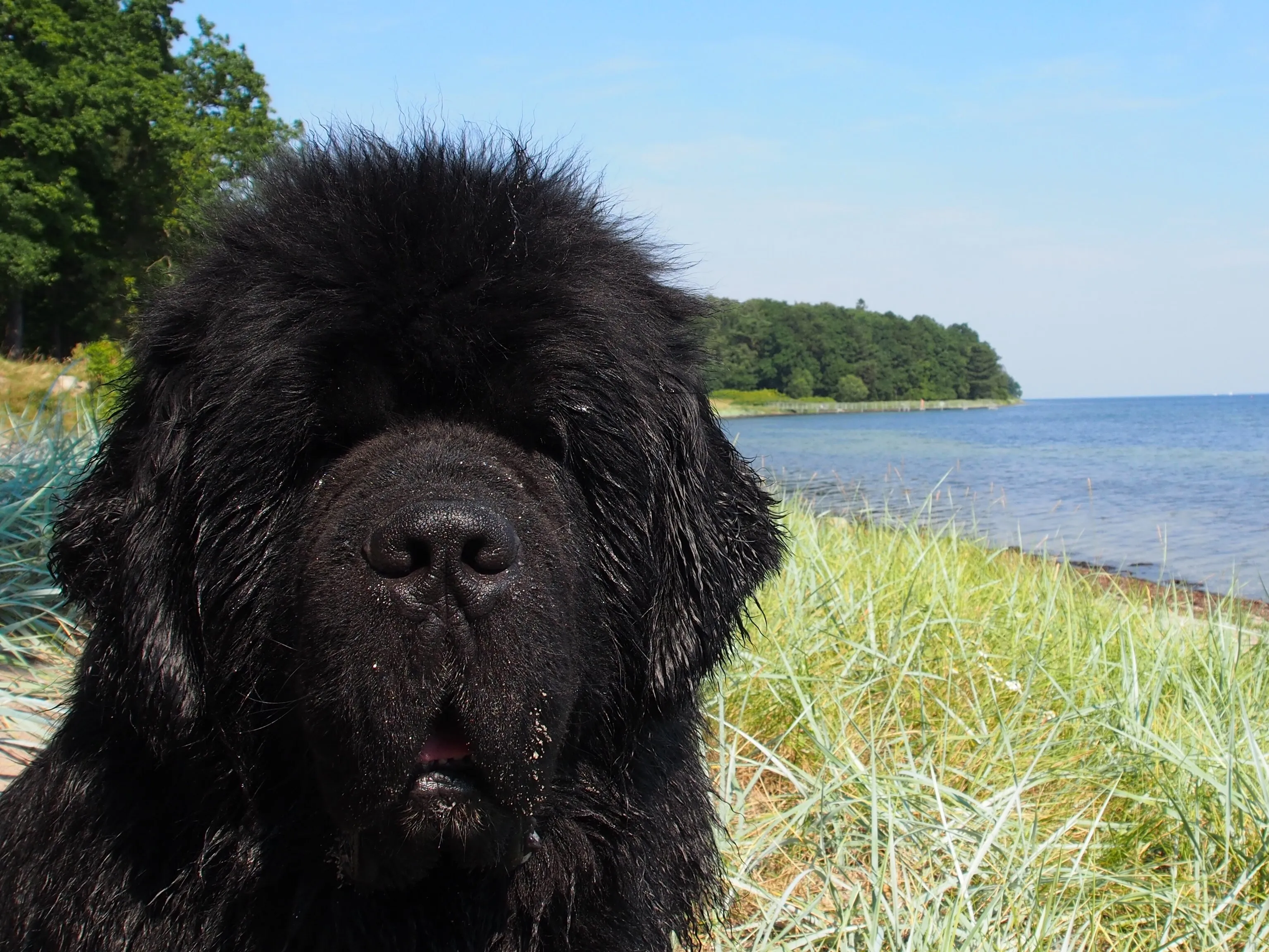 Lasse at the see