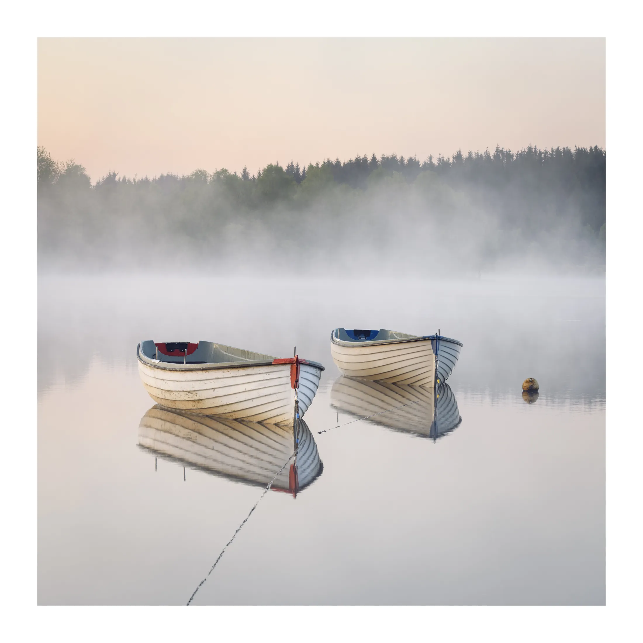 Moods of morning