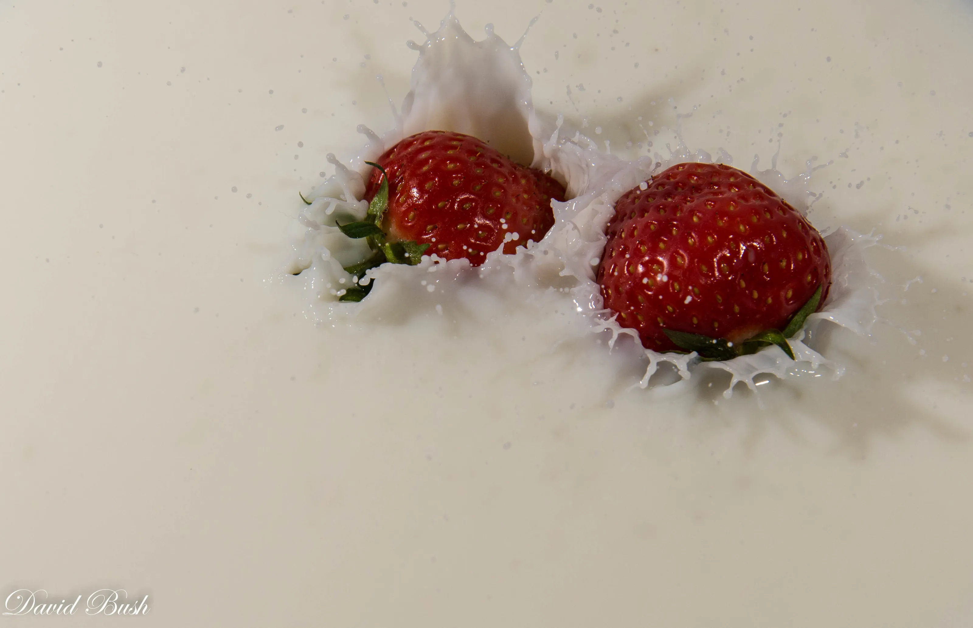 Milk splash texture frozen with high speed flash