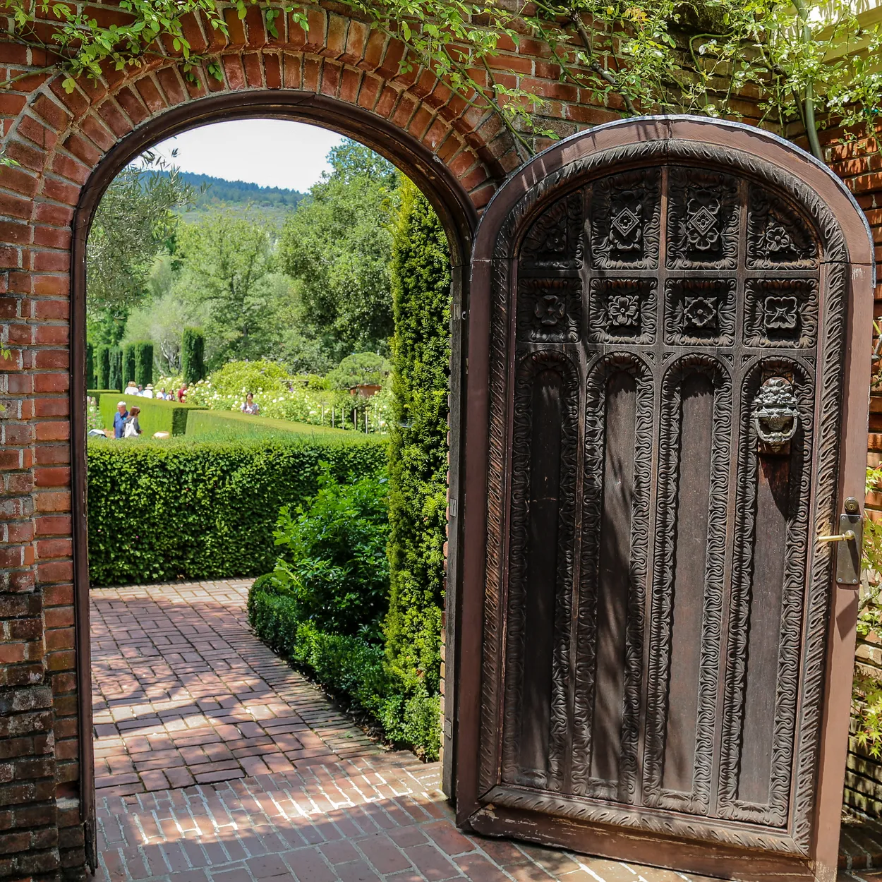 Entry 2126102