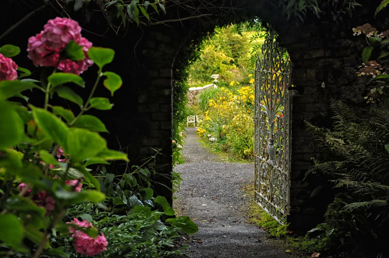 Entry 12020136
