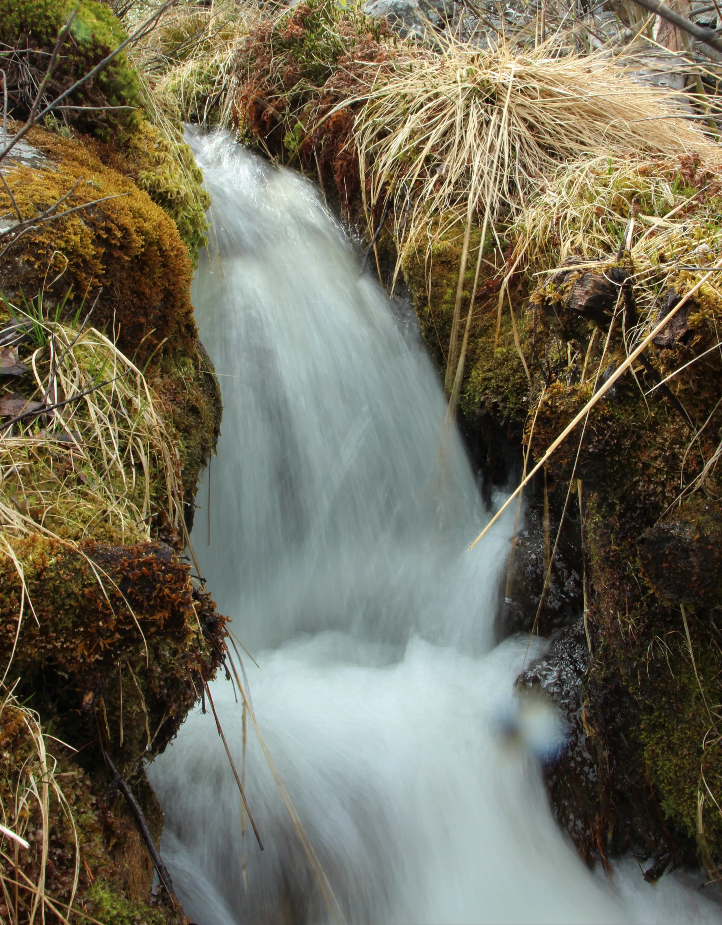 Spring stream