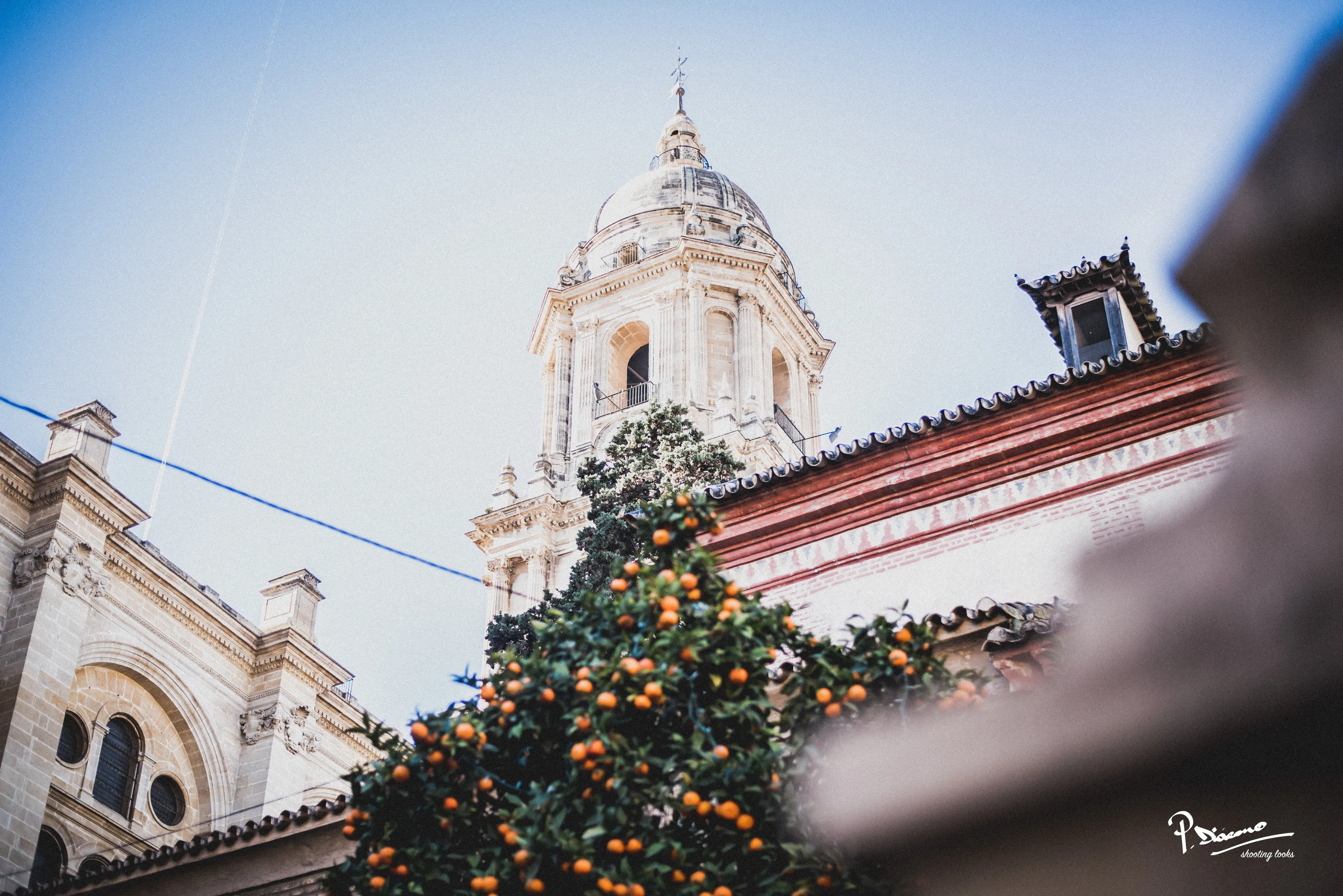 Catedral of Malaga