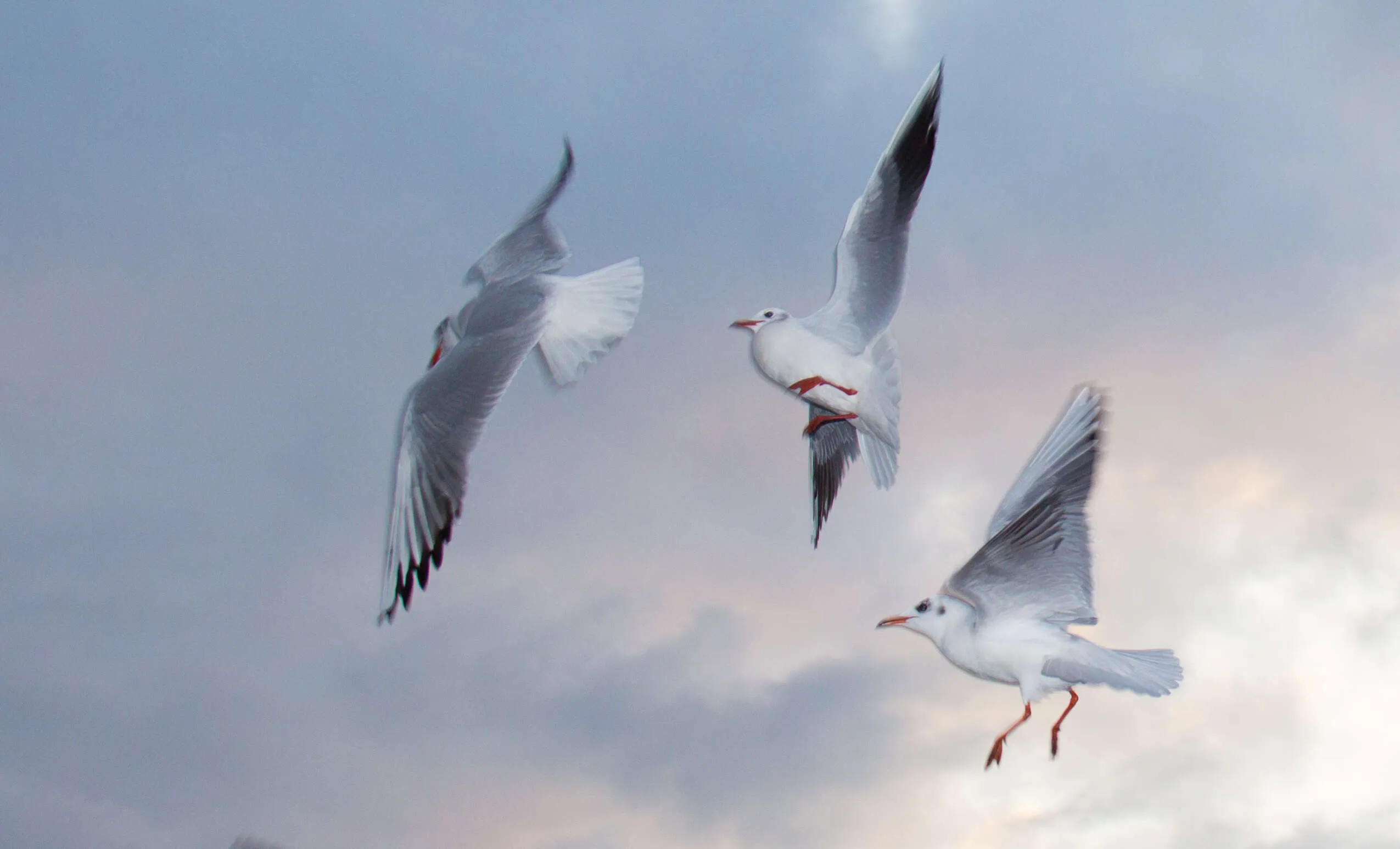 Glide