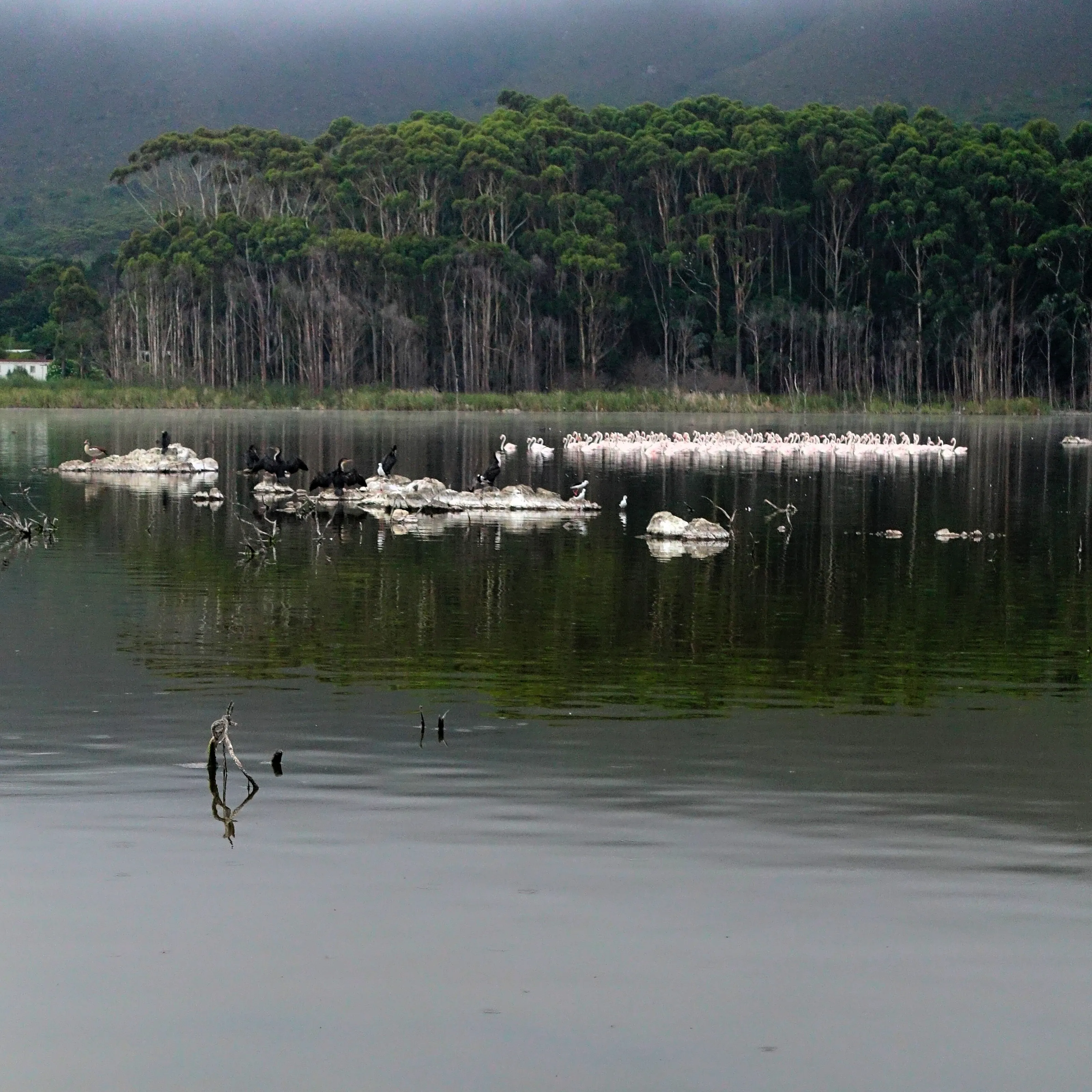 Early evening on the lake