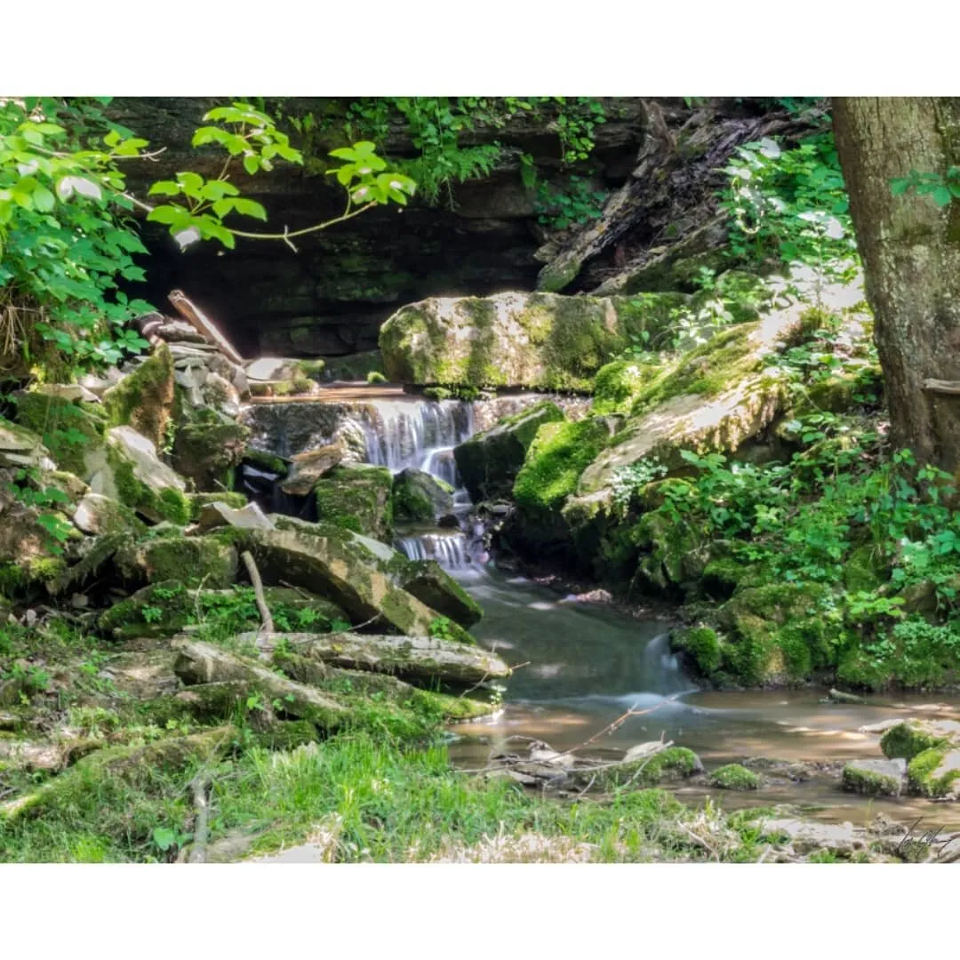 Creek Waterfall