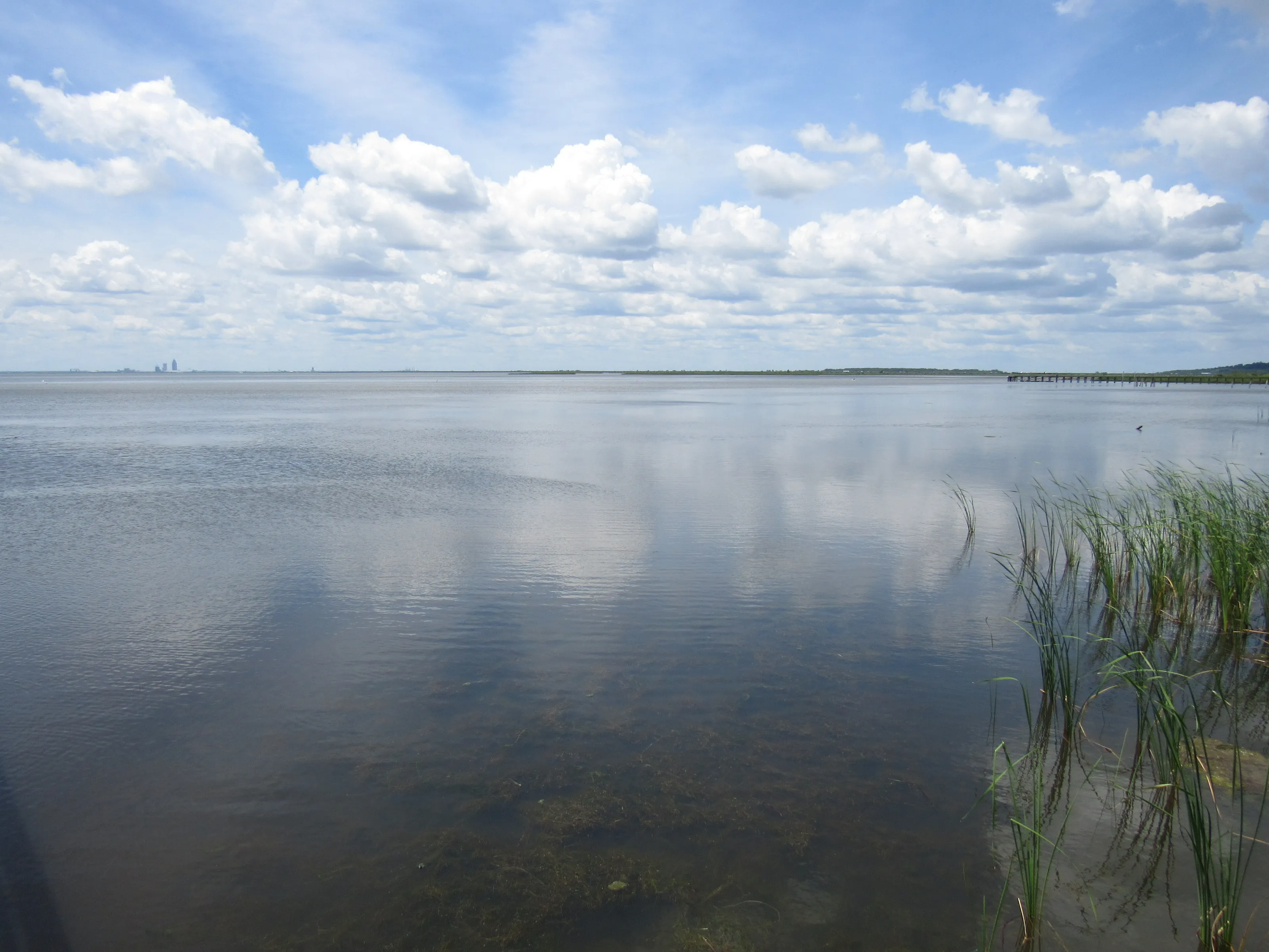 Bay Waters