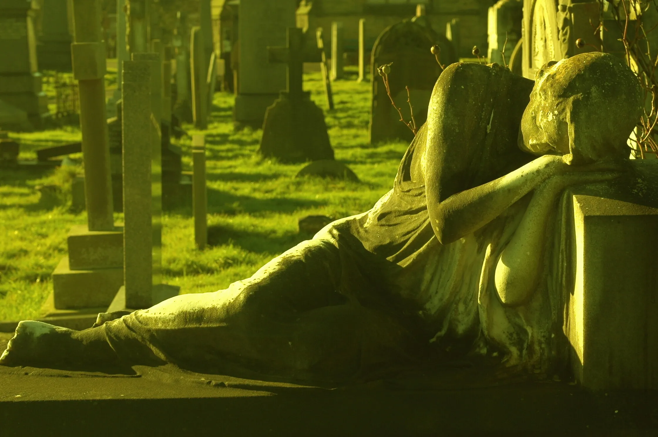 Sleeping Angel