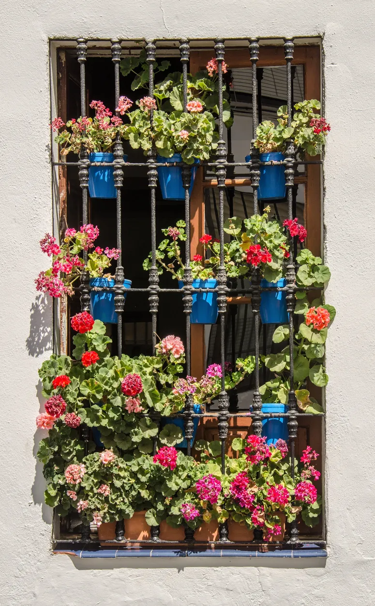 Entry 15708913