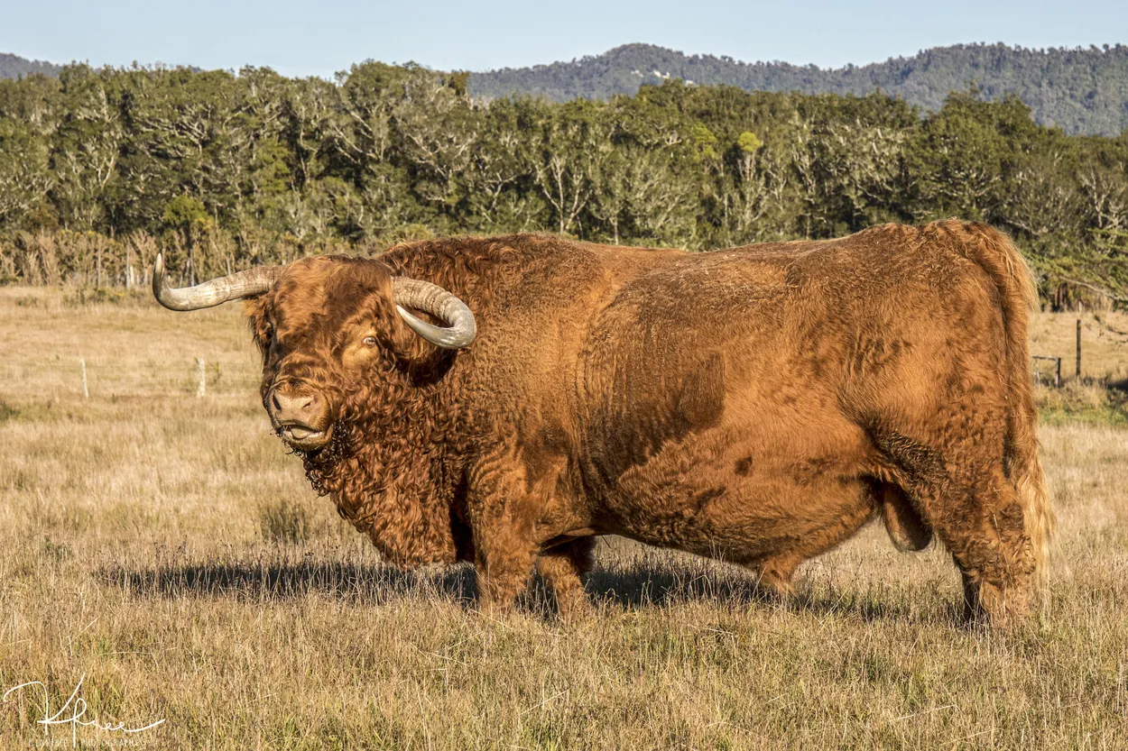 Entry 6554321