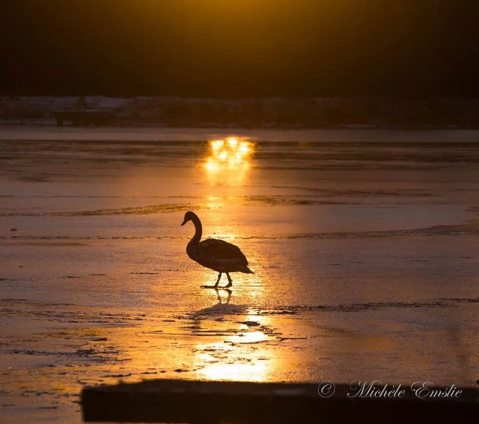 I'm Walking on Sunshine.........And Don't it Feel Good!!