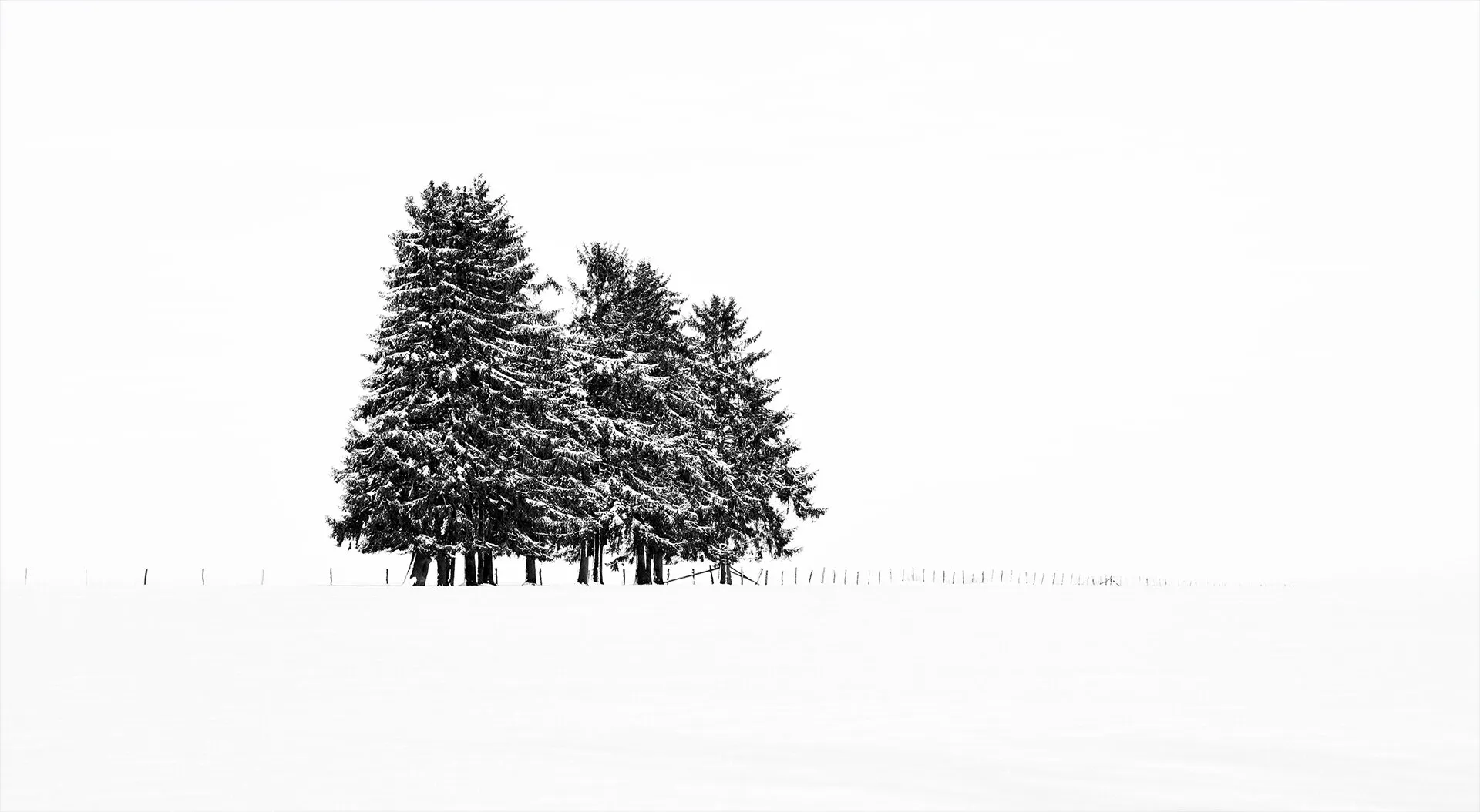 trees