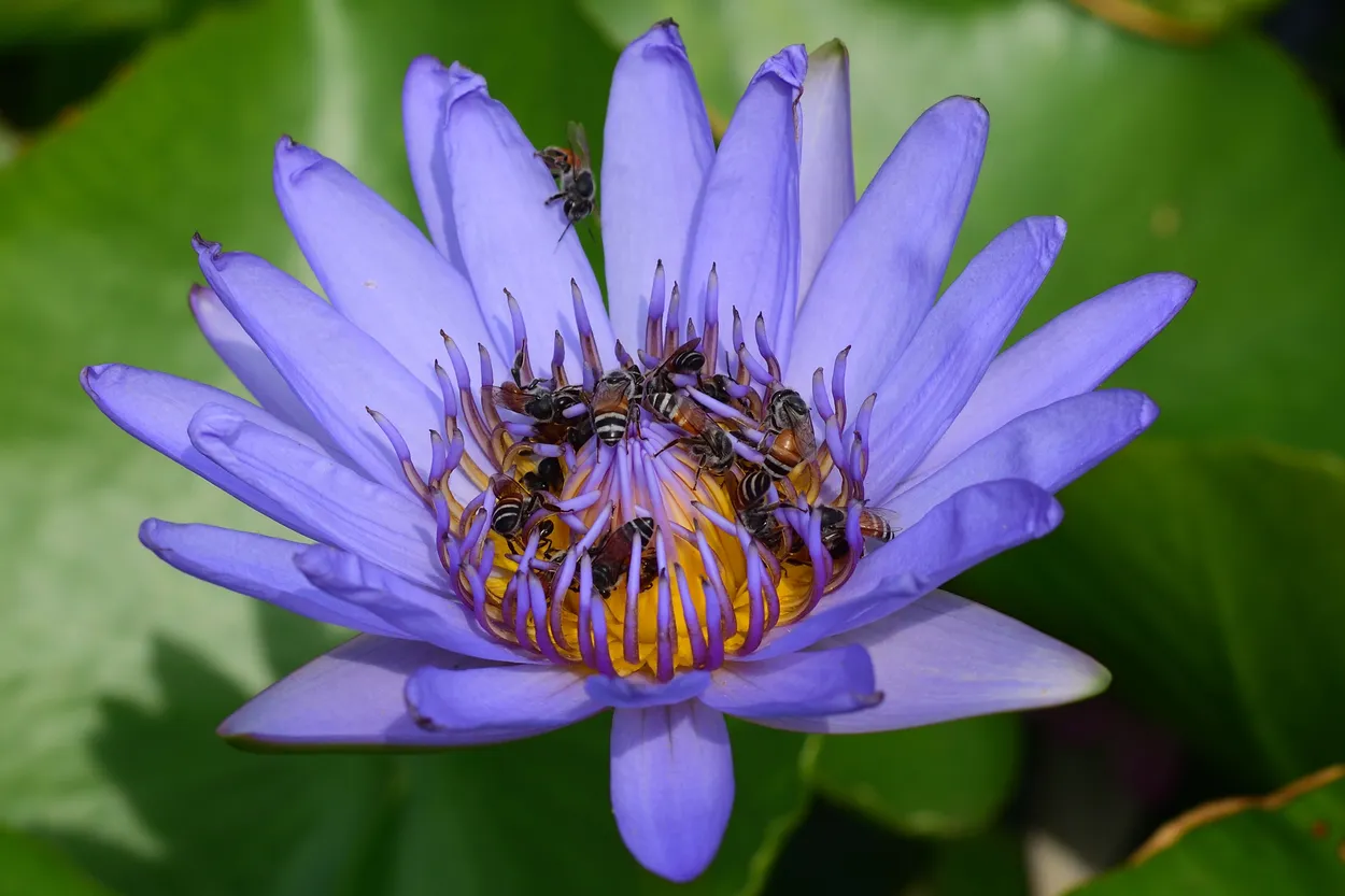 Entry 2167973
