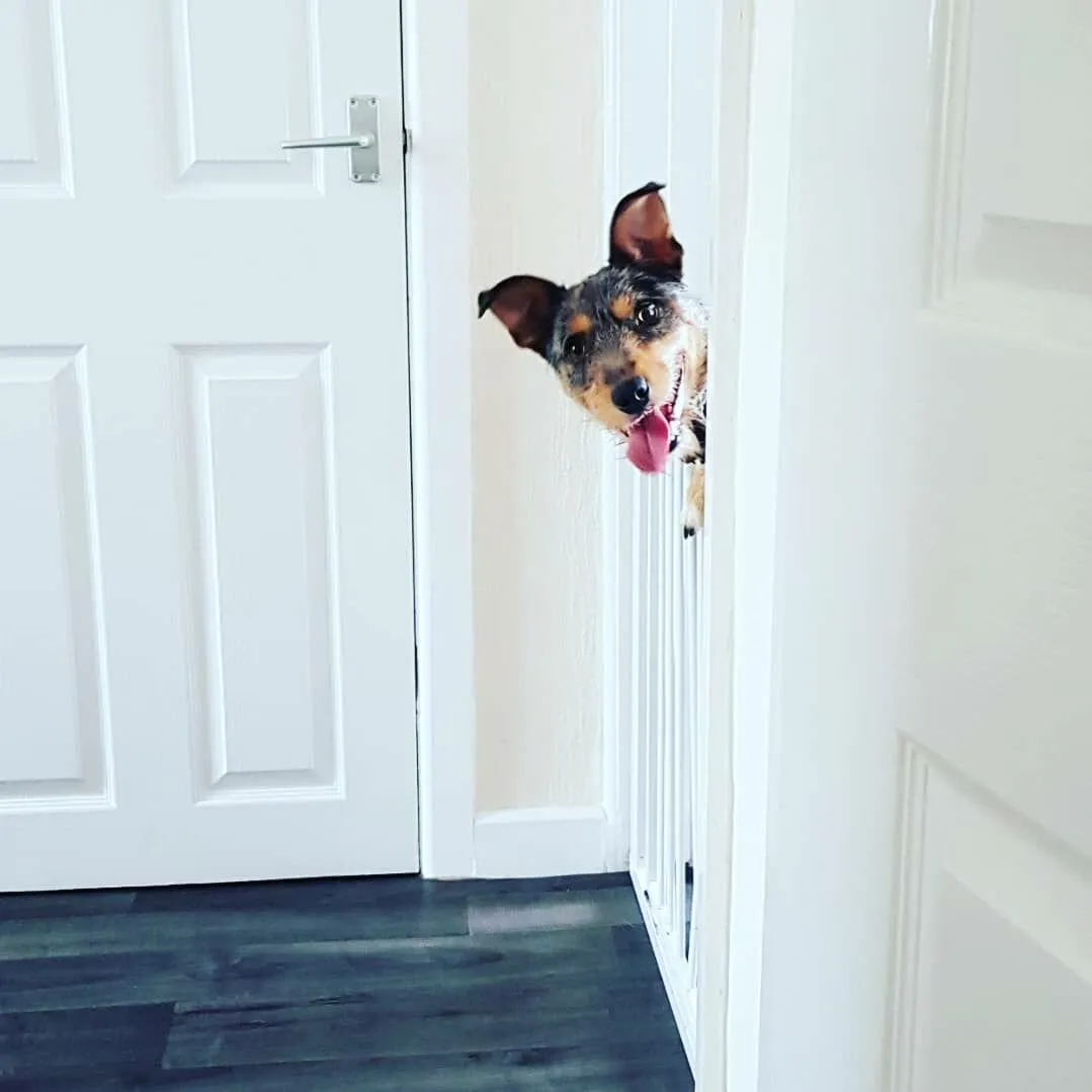 Entry 2168930