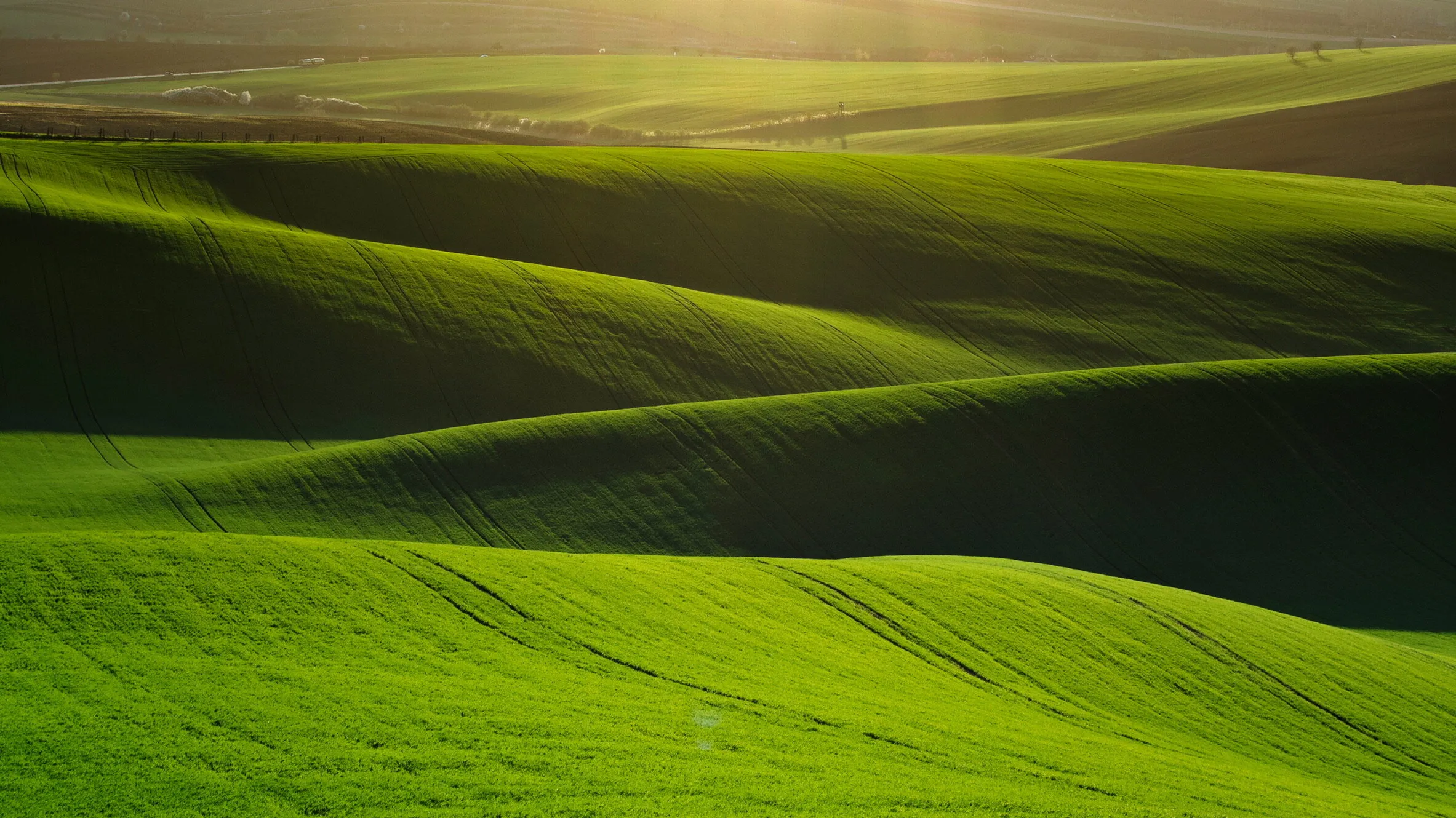 Afternoon in Moravia