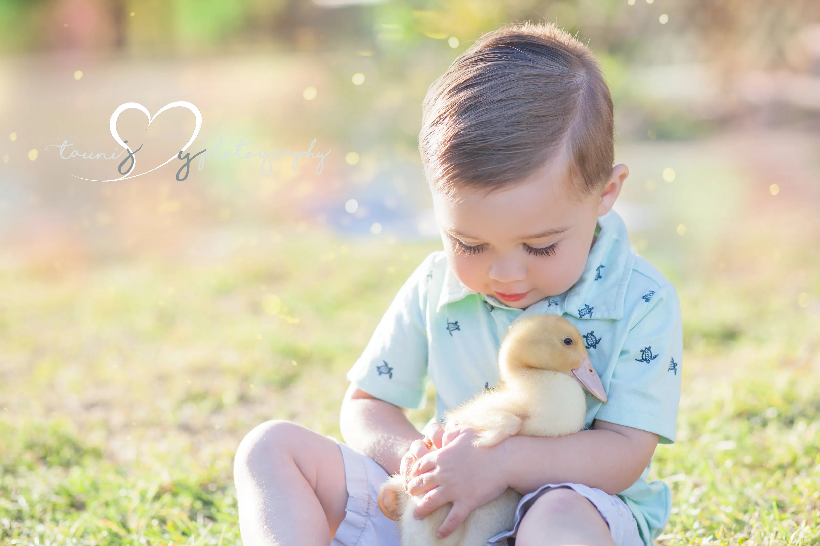 baby duckling and Texas baby