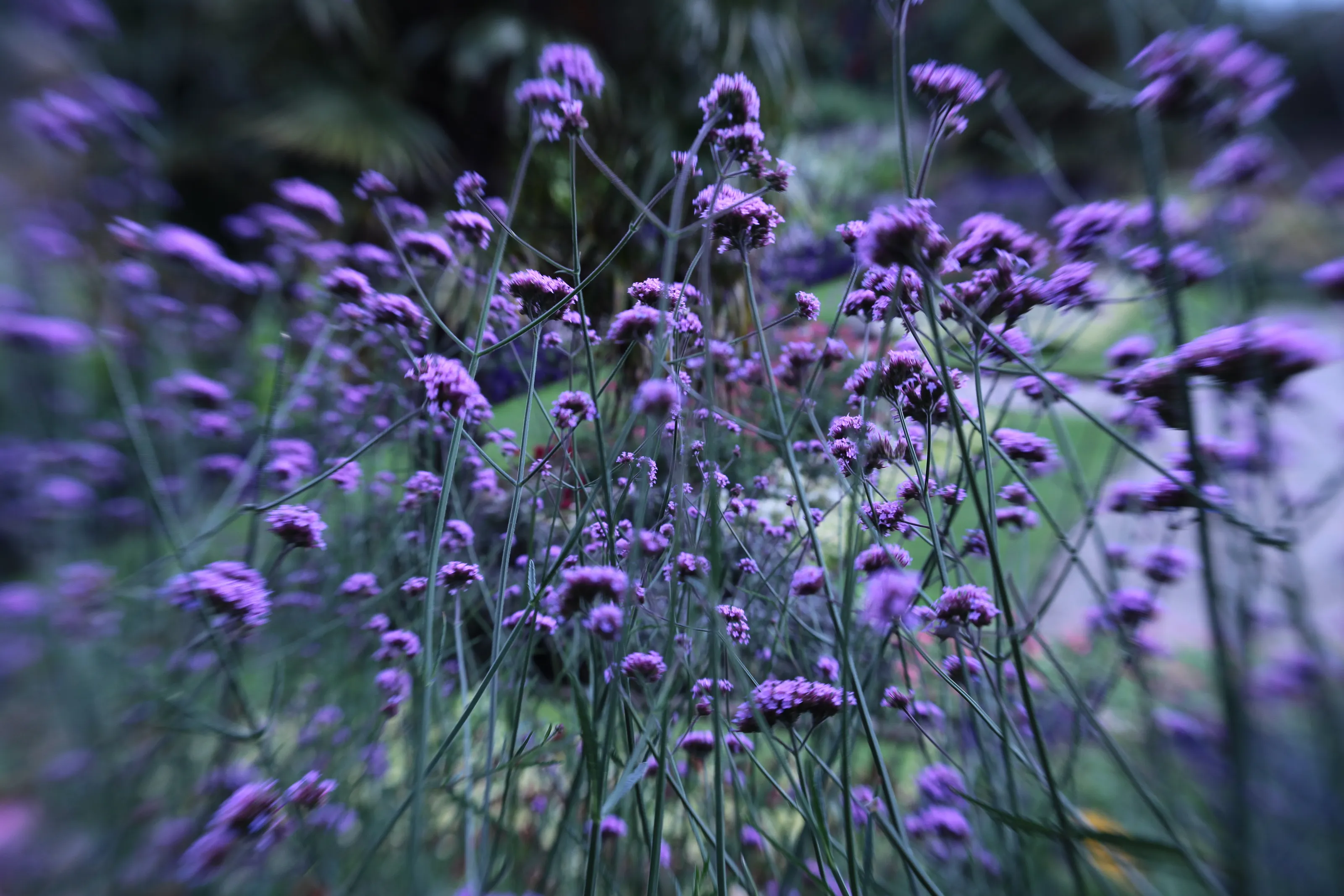 english gardens