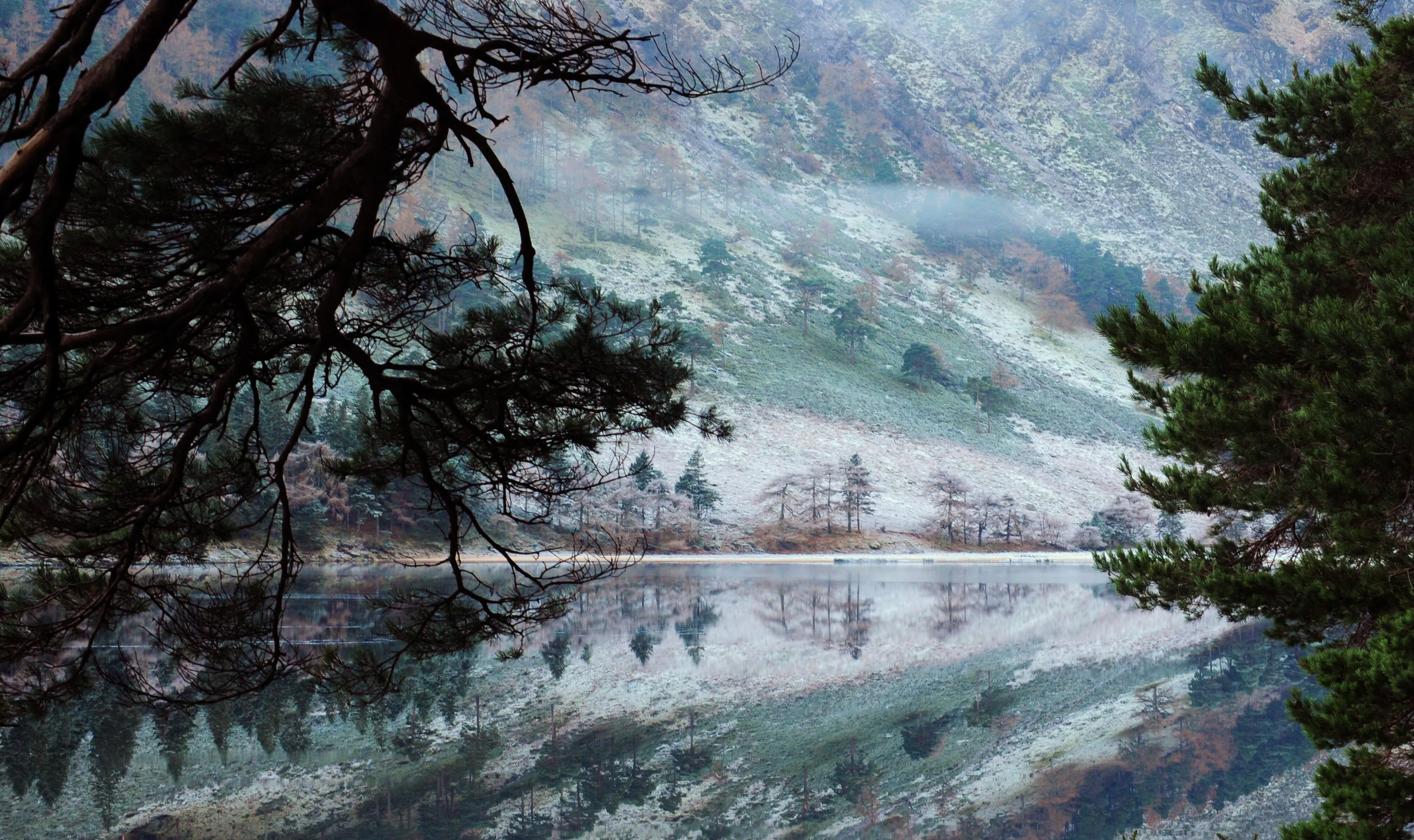 Mirrored Frost