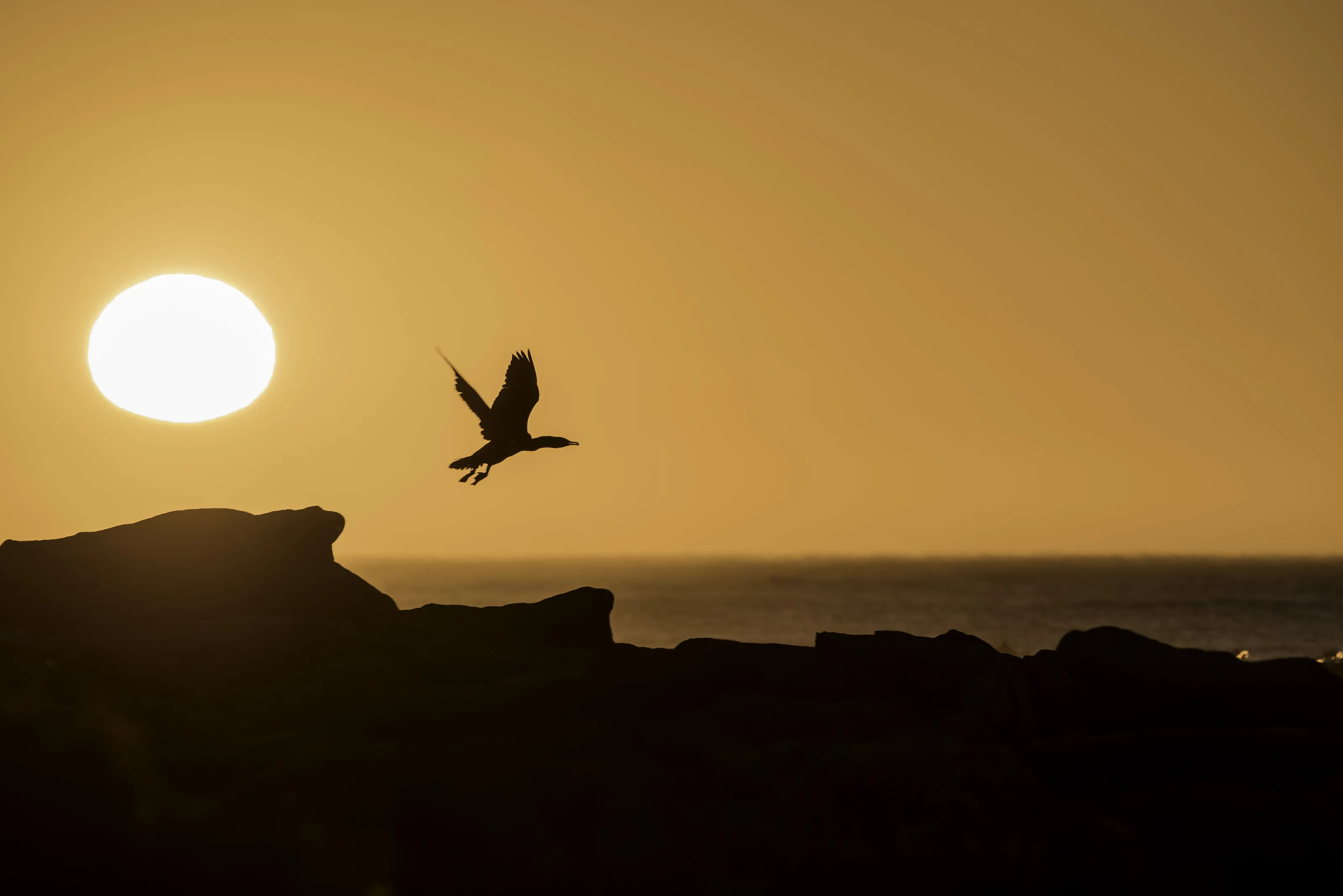 African Sunset