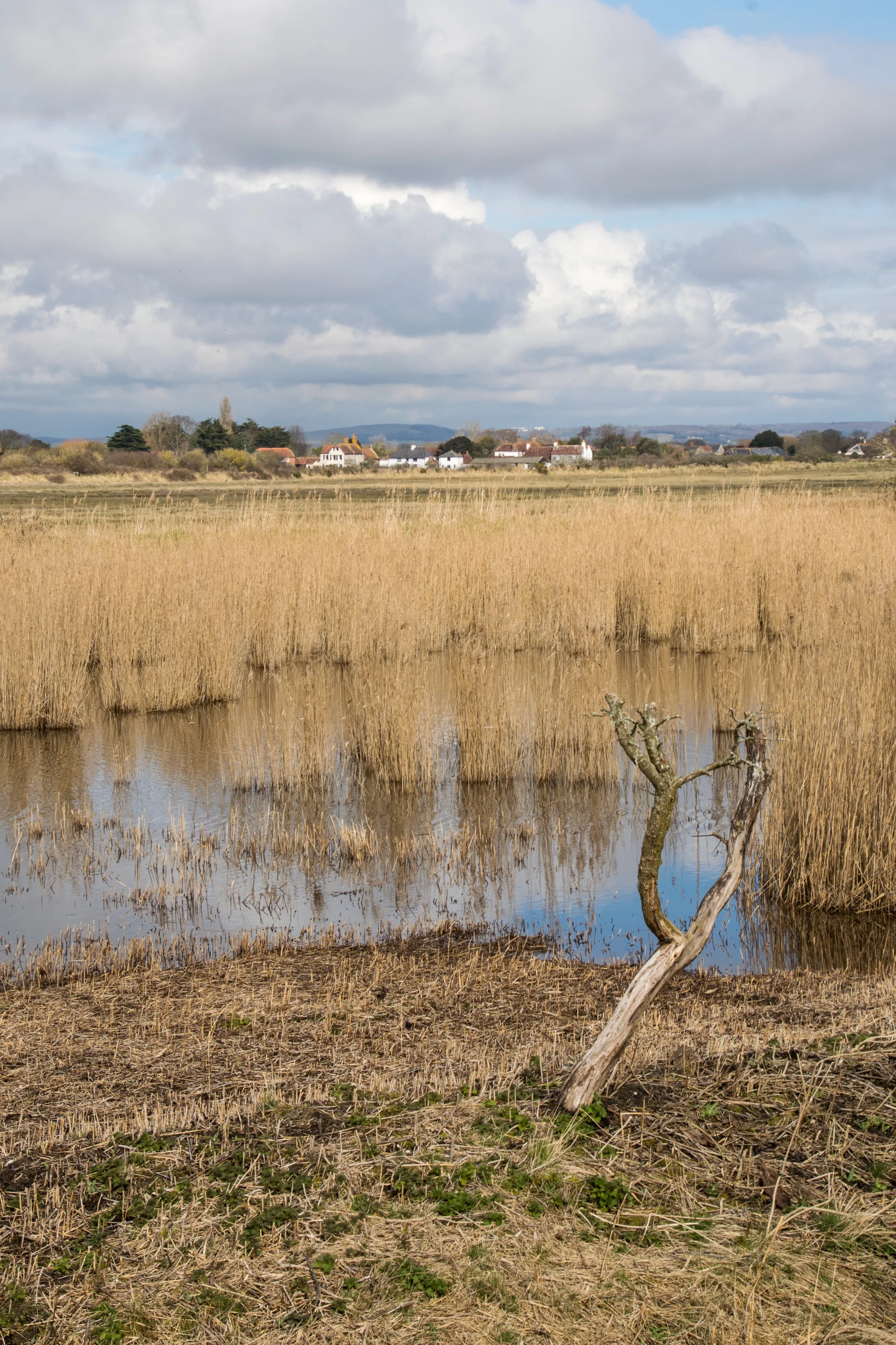 PAGHAM HARBOUR