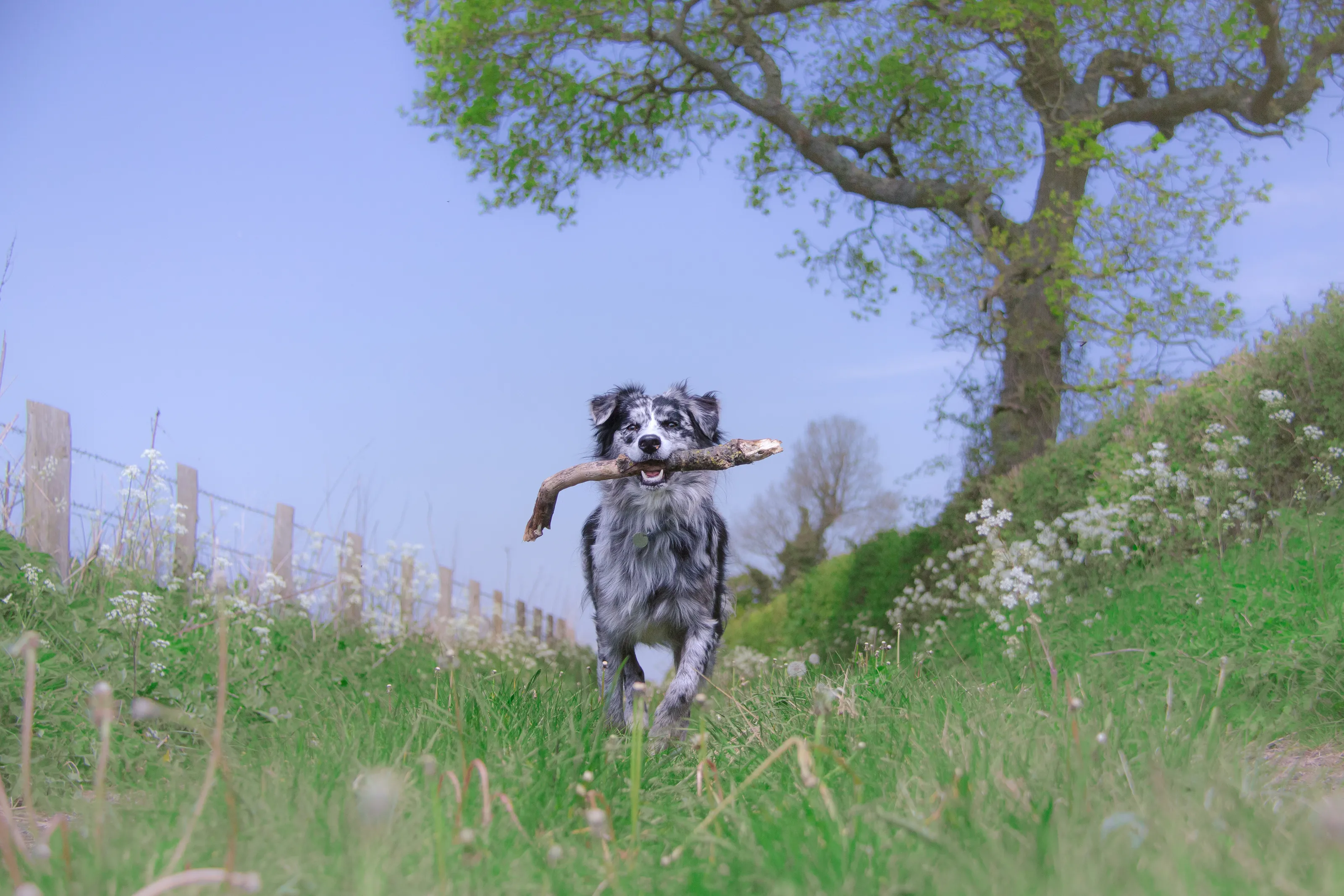 'My stick..'