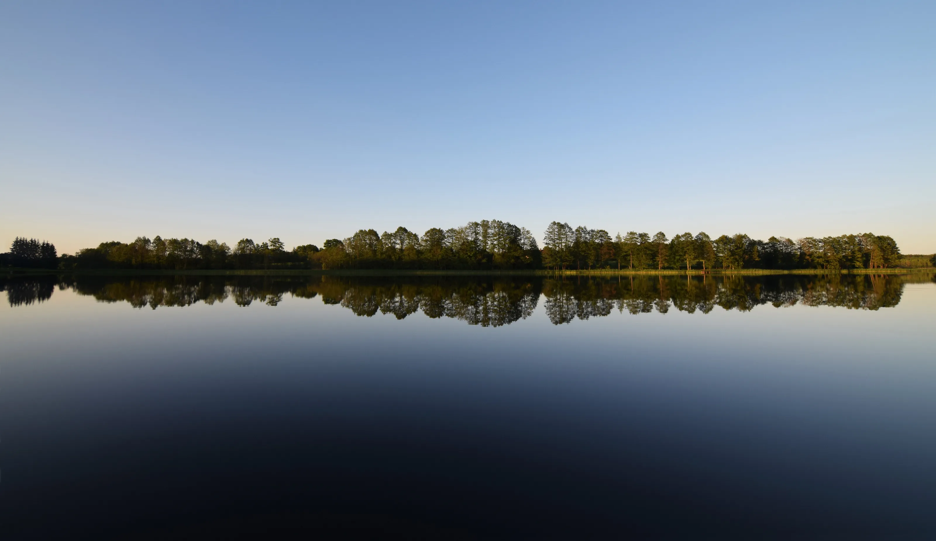 the sound waves of nature