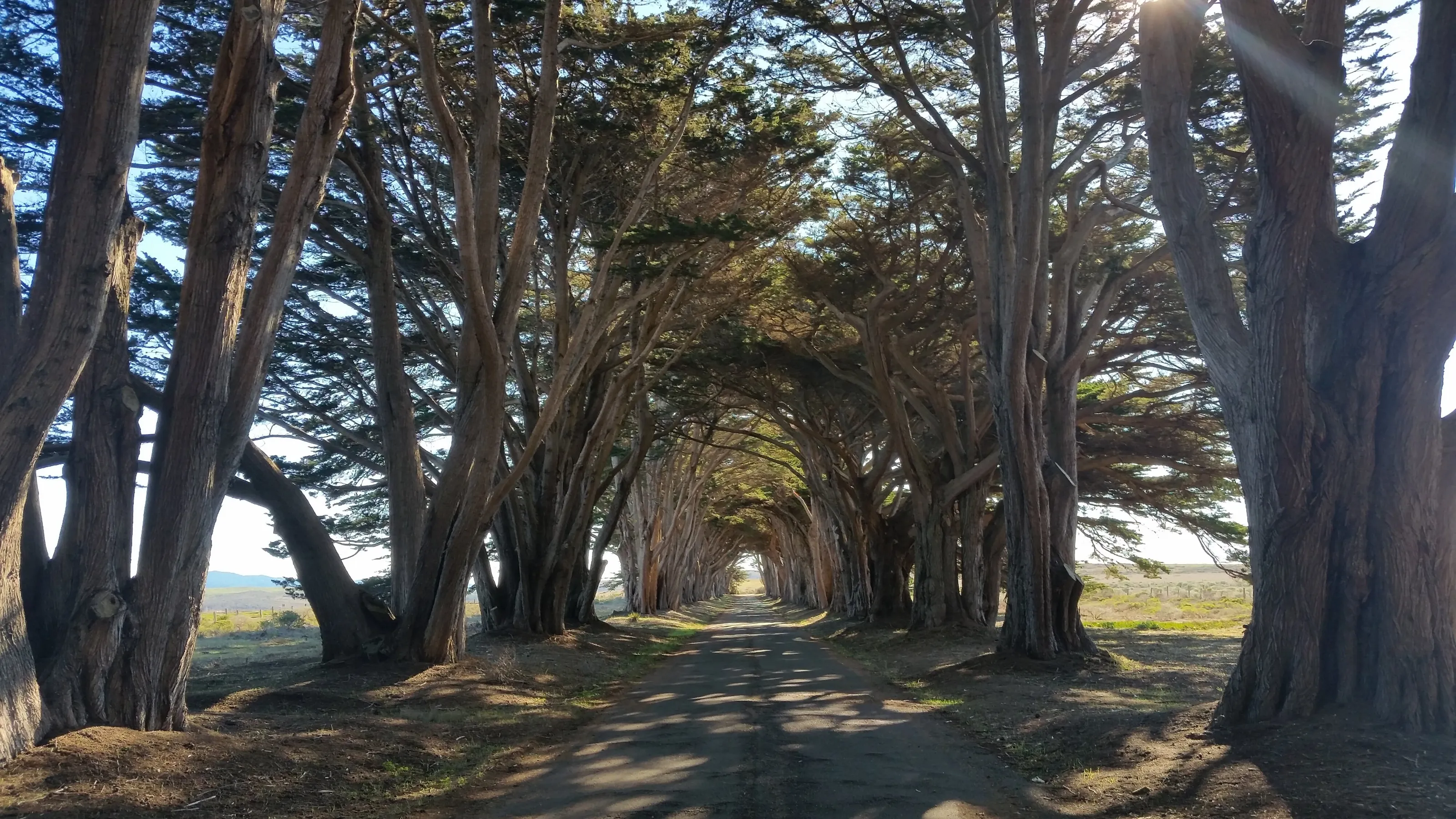 Off the beaten path