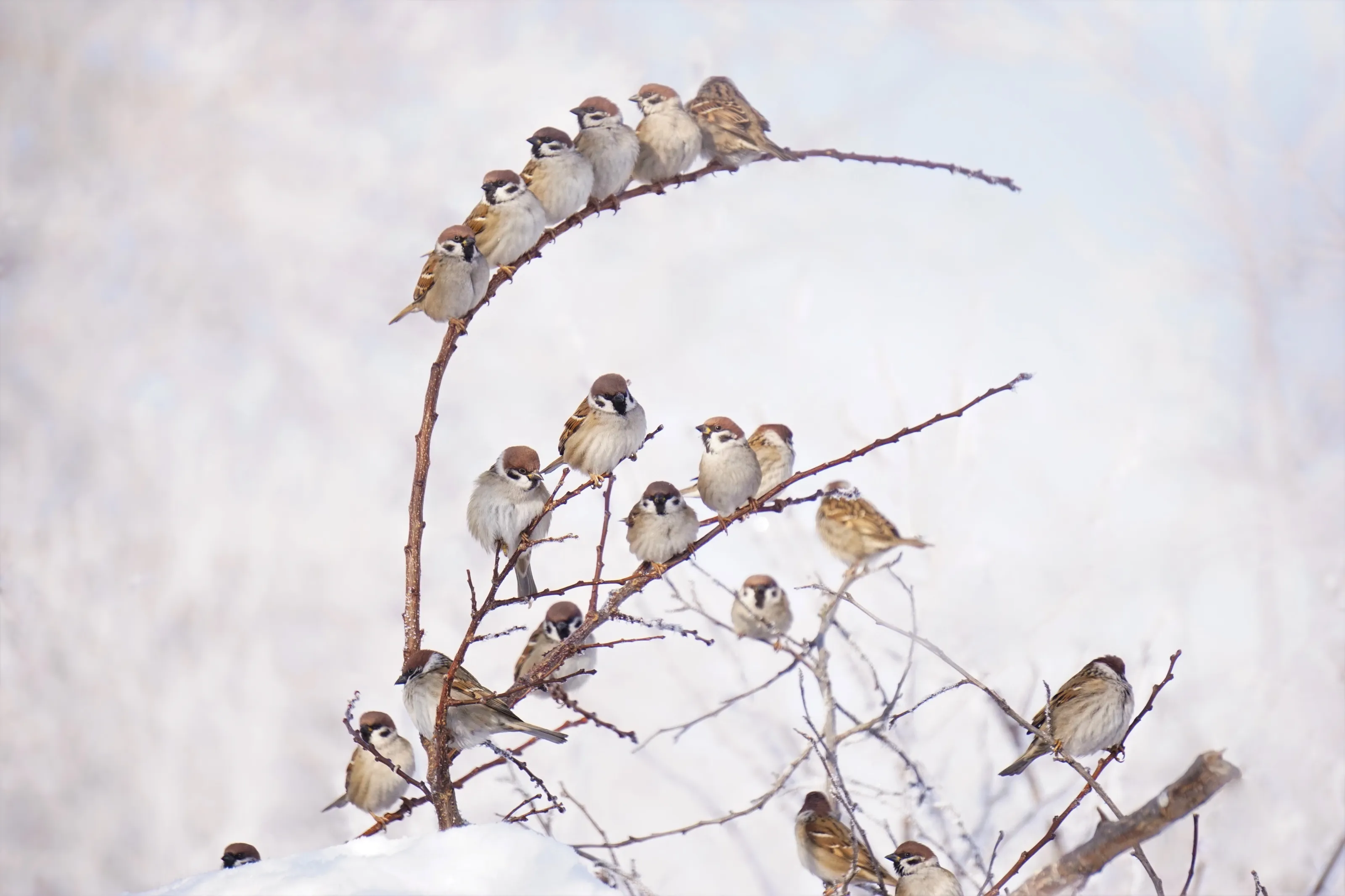 Crowded