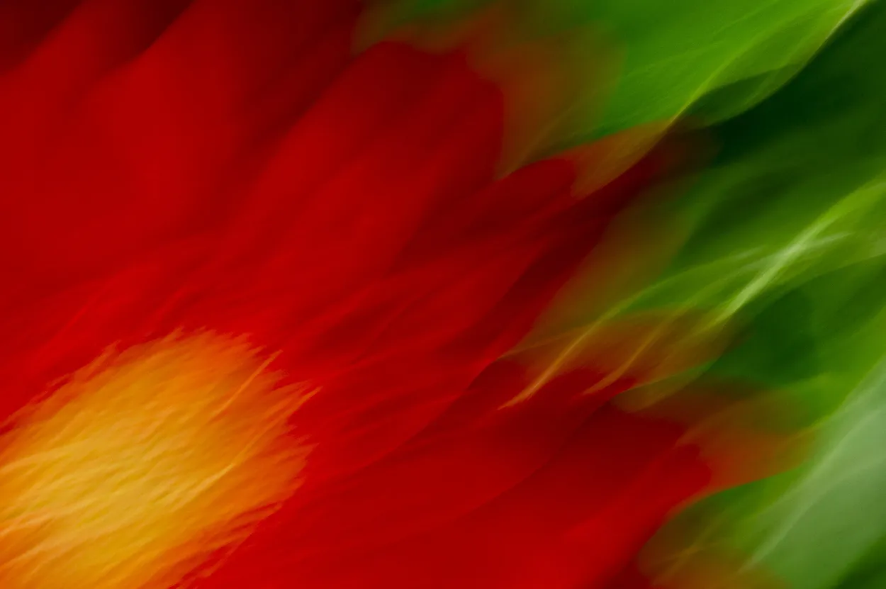 Fiery flower