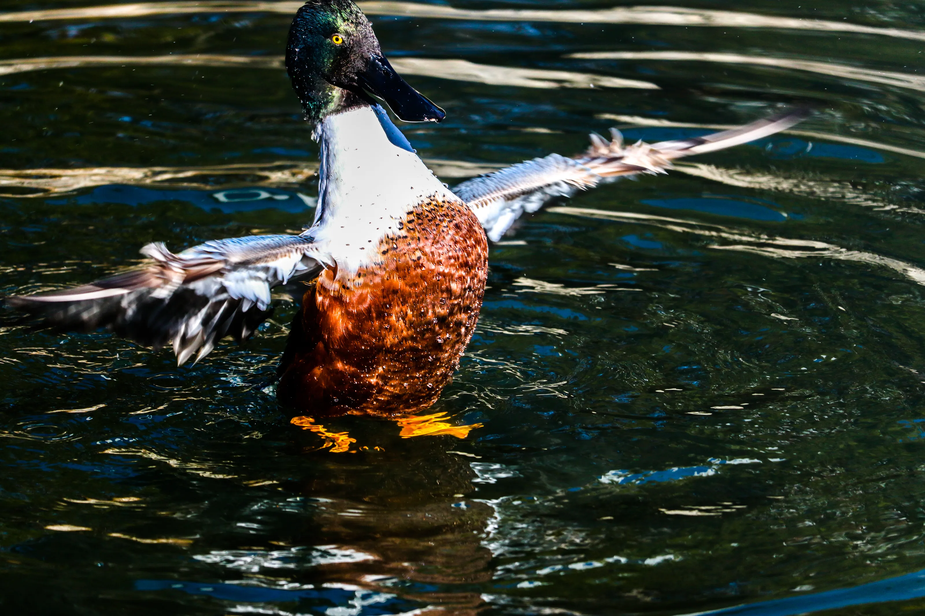 Walk On Water