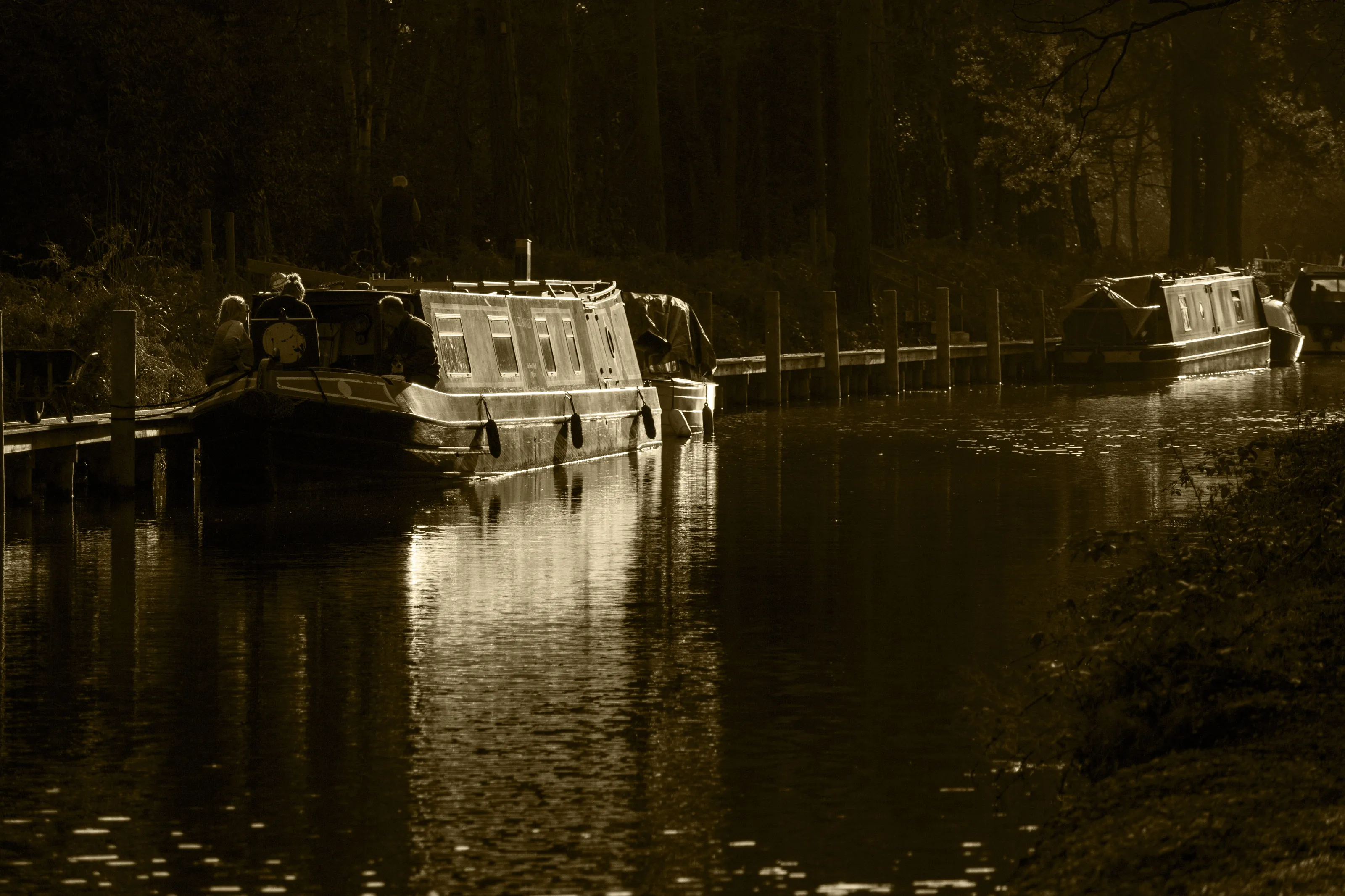 Narrowboats on the Basingstoke Canal