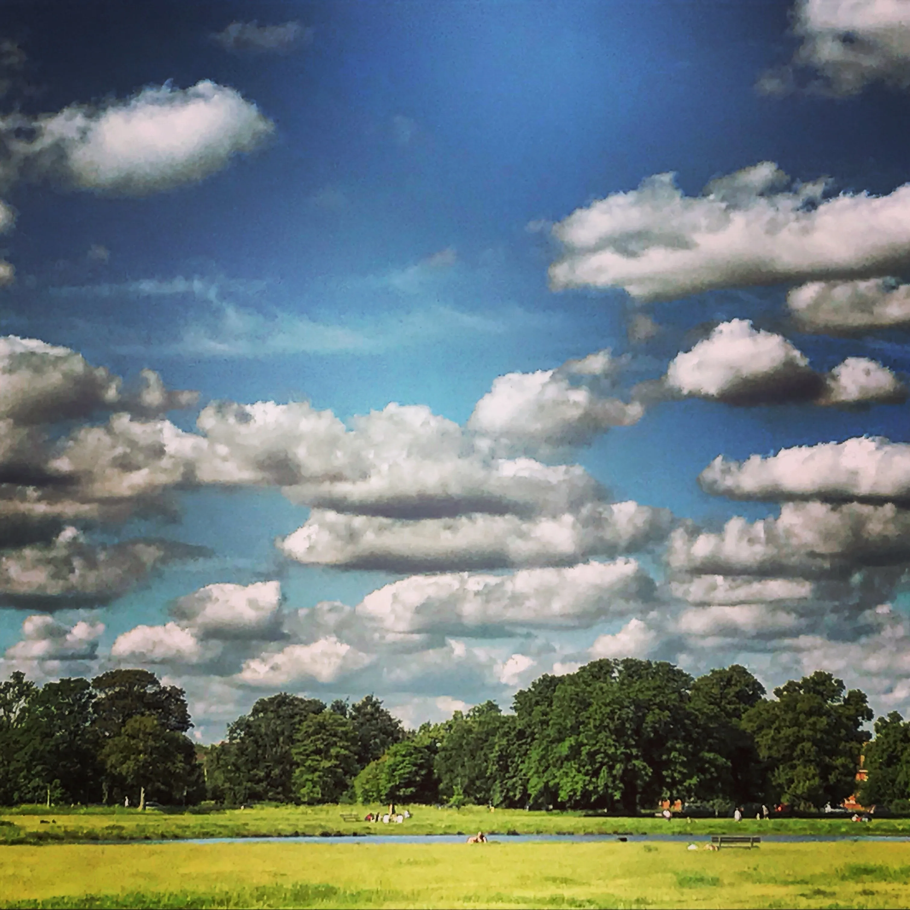 Summer Day