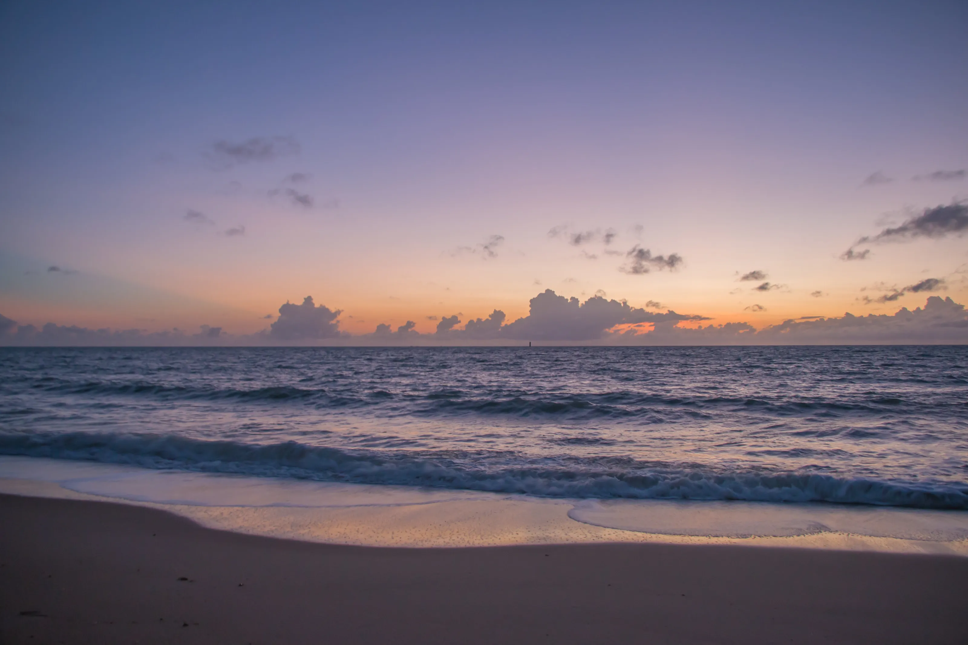 Purple Sunrise