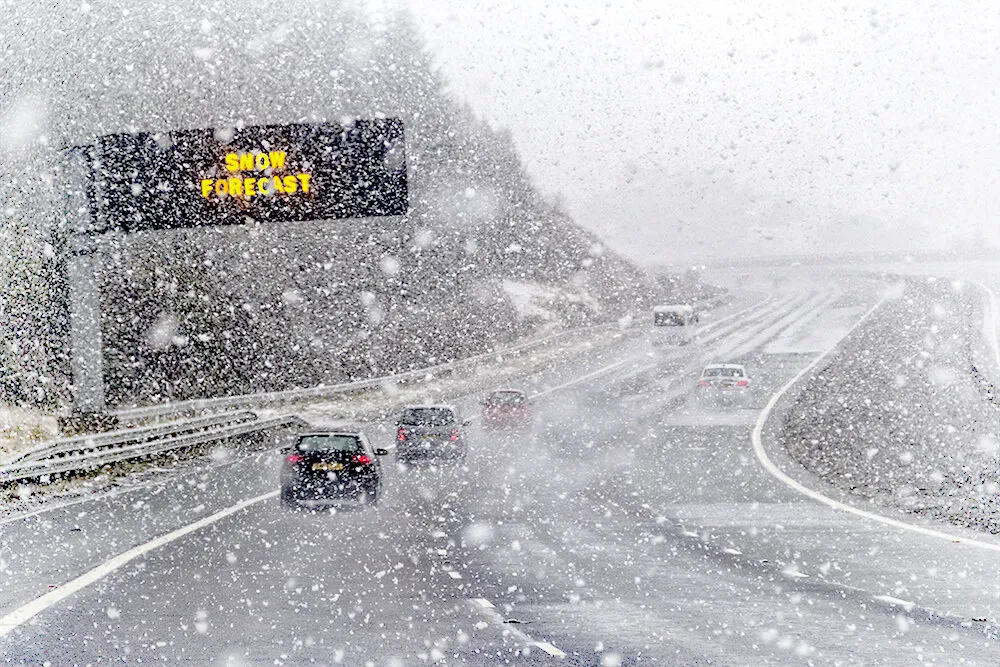 Entry 11689529