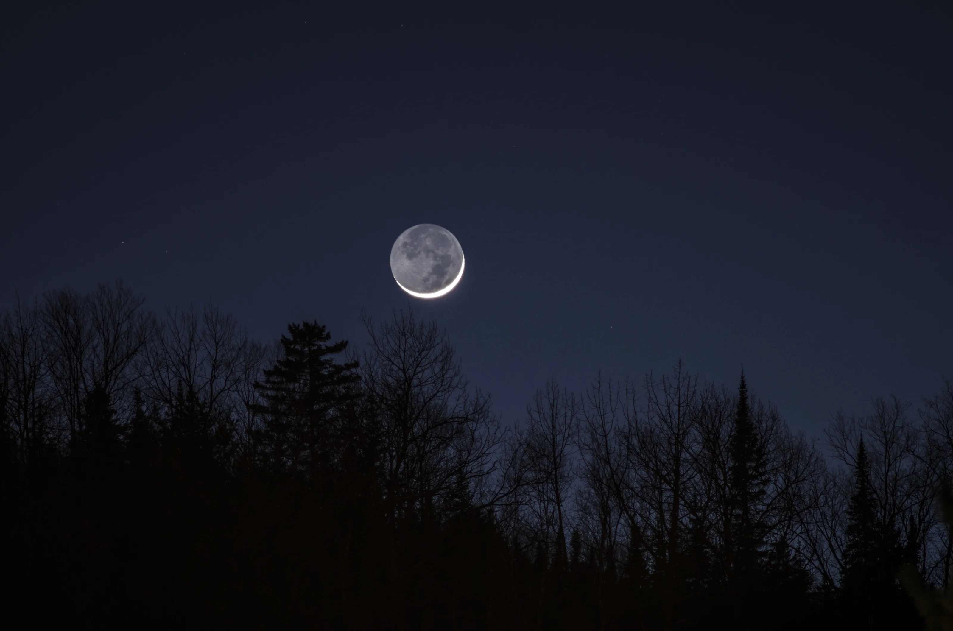 Crescent moon diving into trees