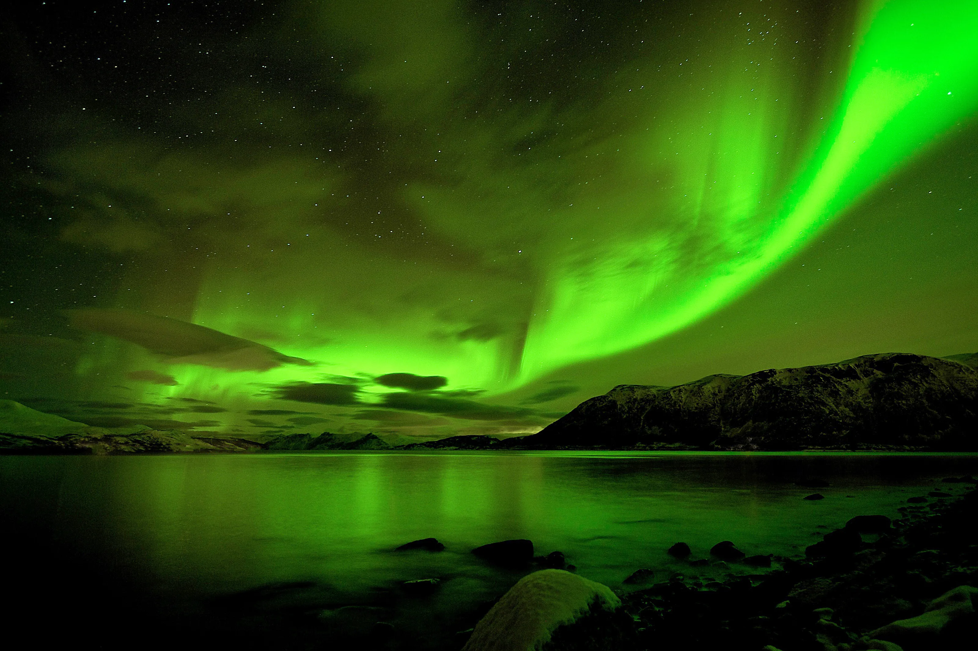 Norwegian Aurora