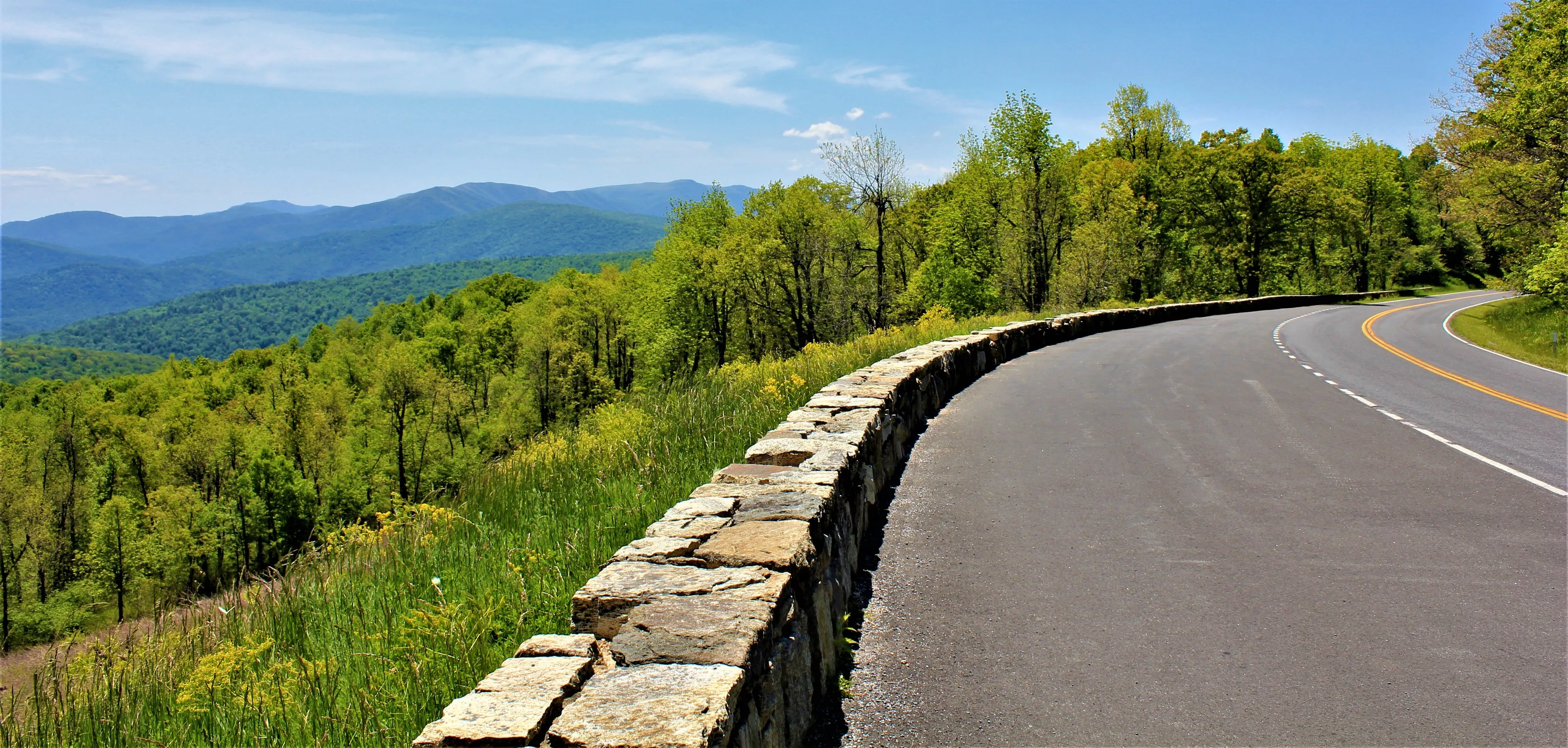 Blue Ridge Mountain Paradise