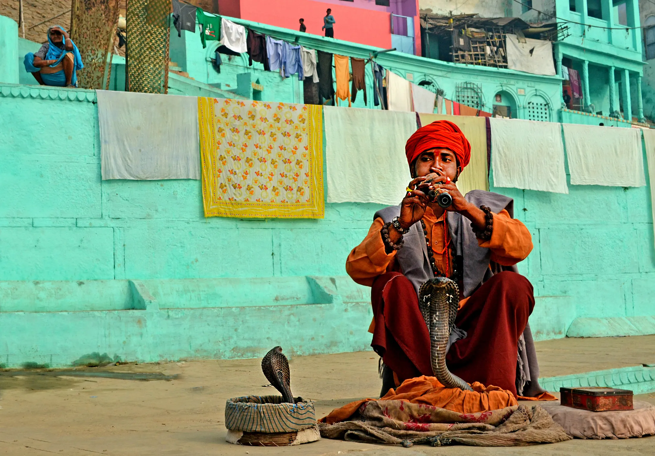 SNAKE CHARMER IN ACTION