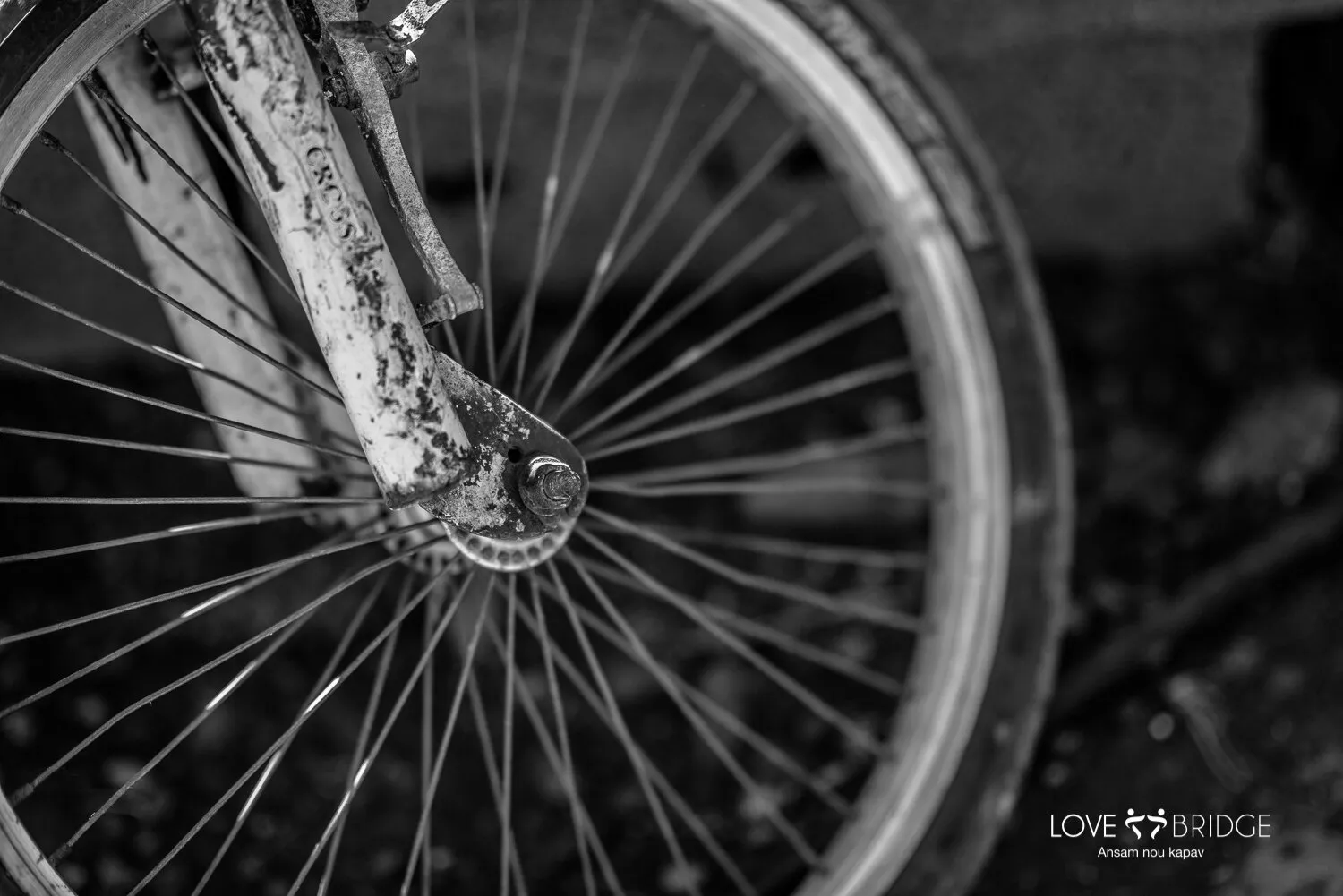 Rusty Bike