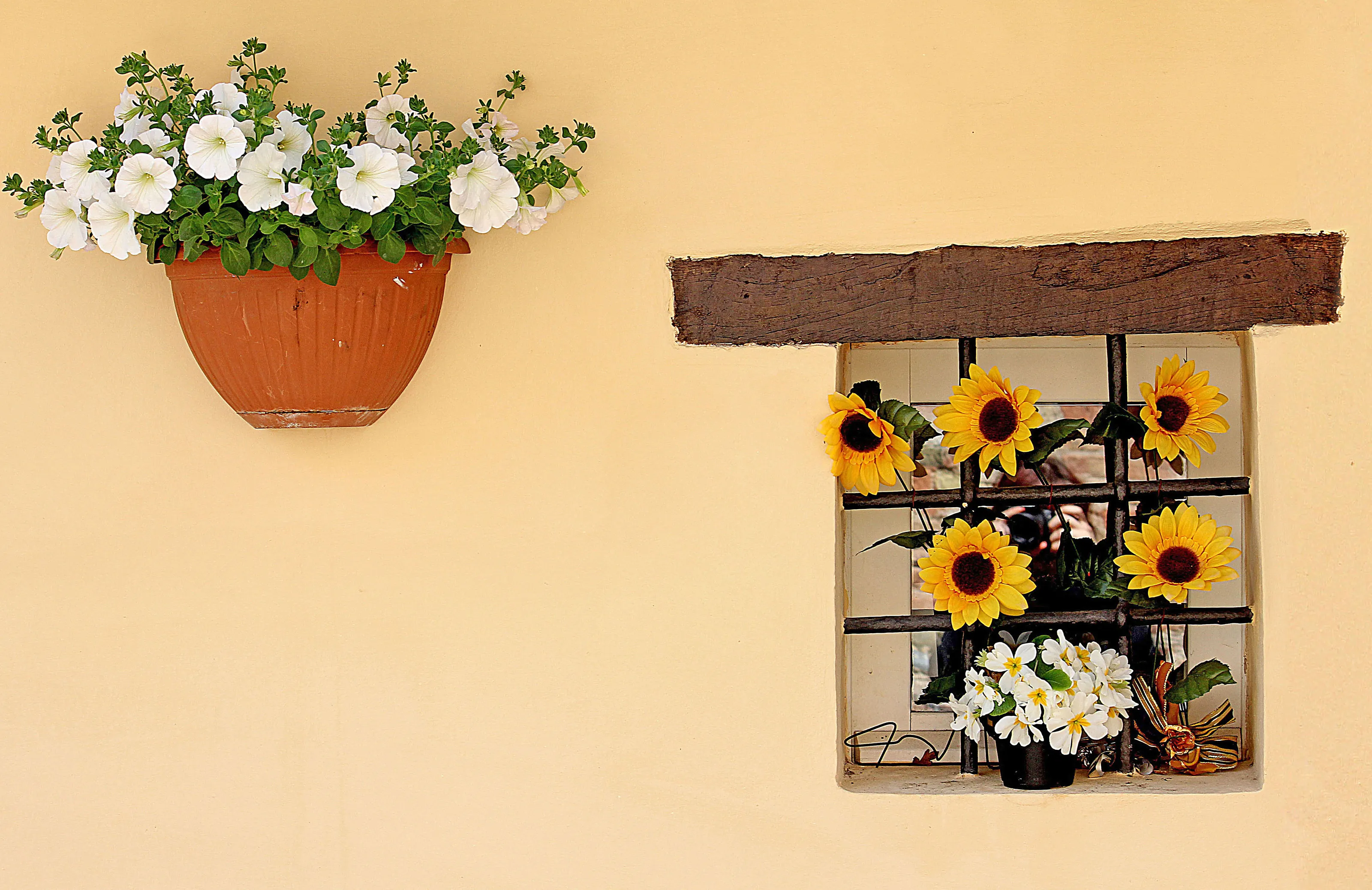 Floral Umbria