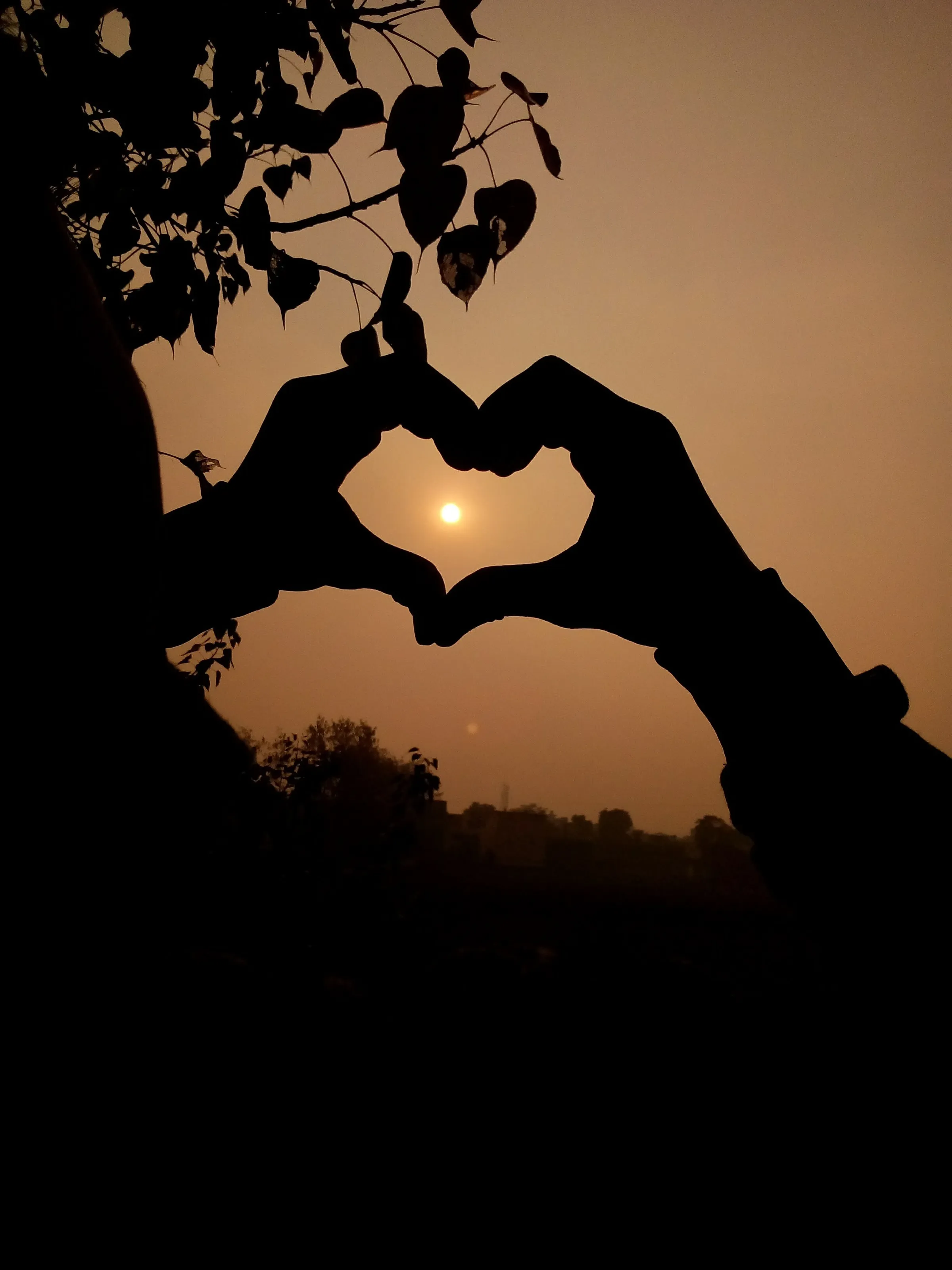 sun